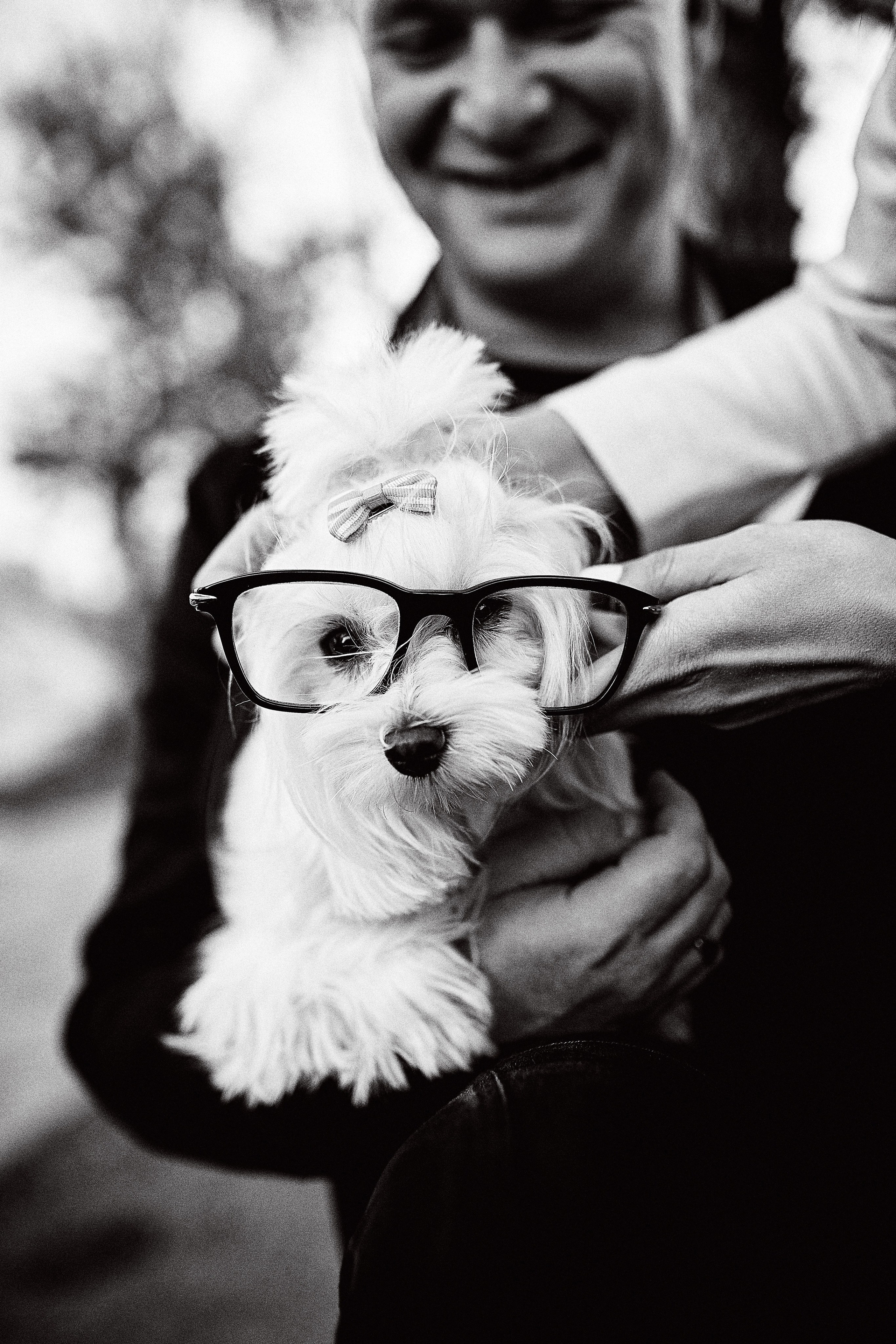 Фотограф Love Story в Москве, заказать профессиональную фотосъёмку — Цены, стоимость услуг фотографа на фотосъёмку в стиле лав стори