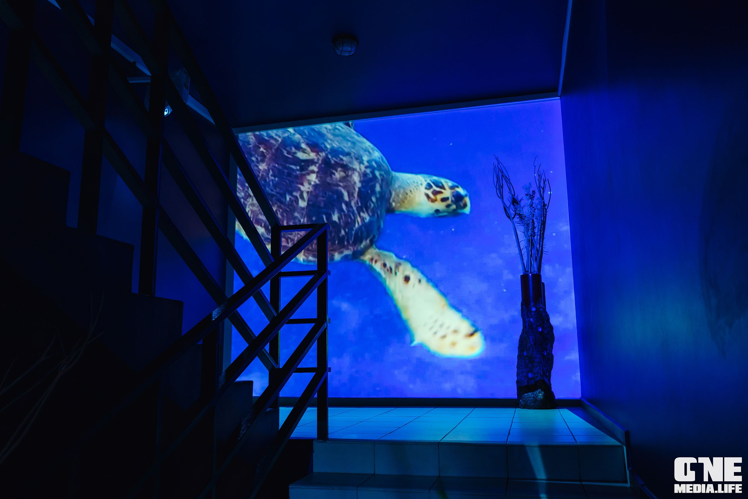 Фоторепортаж из ресторана Океан. One Media Life: фоторепортажи, фотоотчеты с мероприятий и заведений