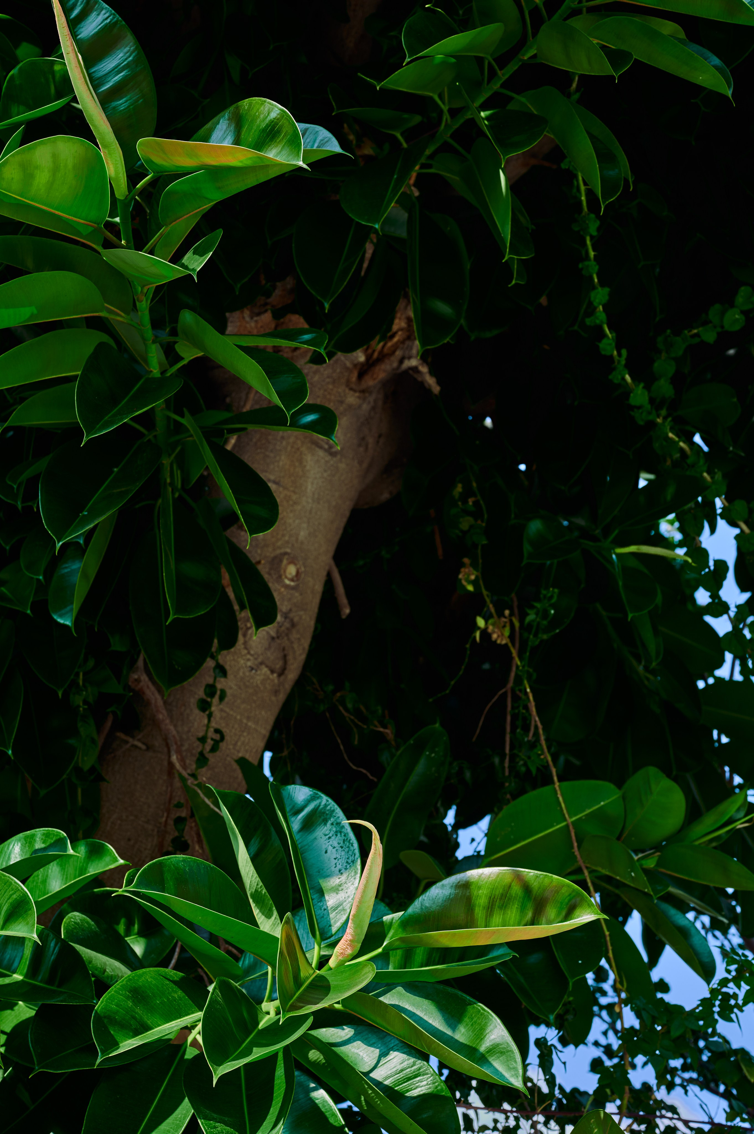 Photographer Yulia Lushnikova, Based in Valencia