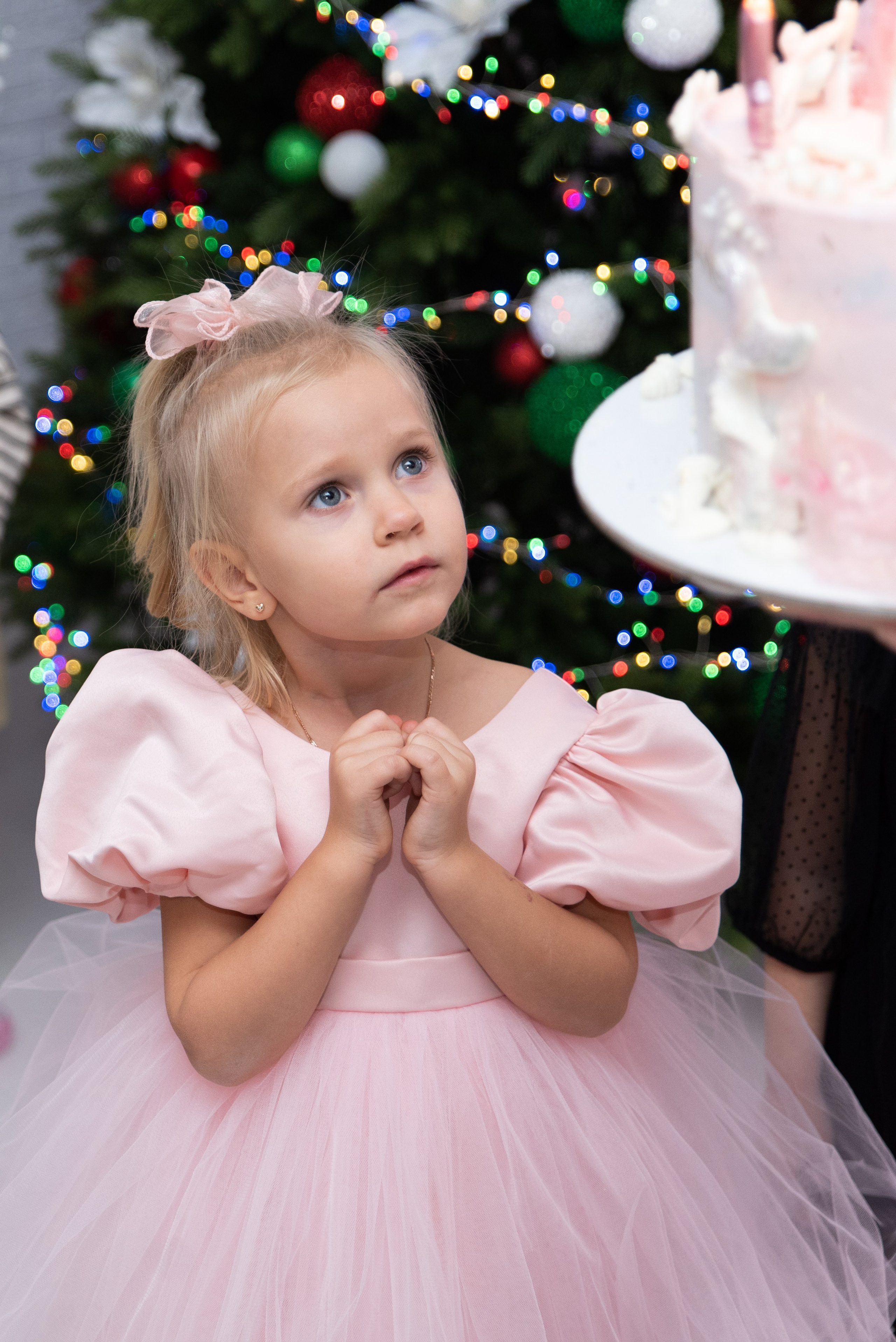 Репортаж. Фотограф Ростов-на-Дону