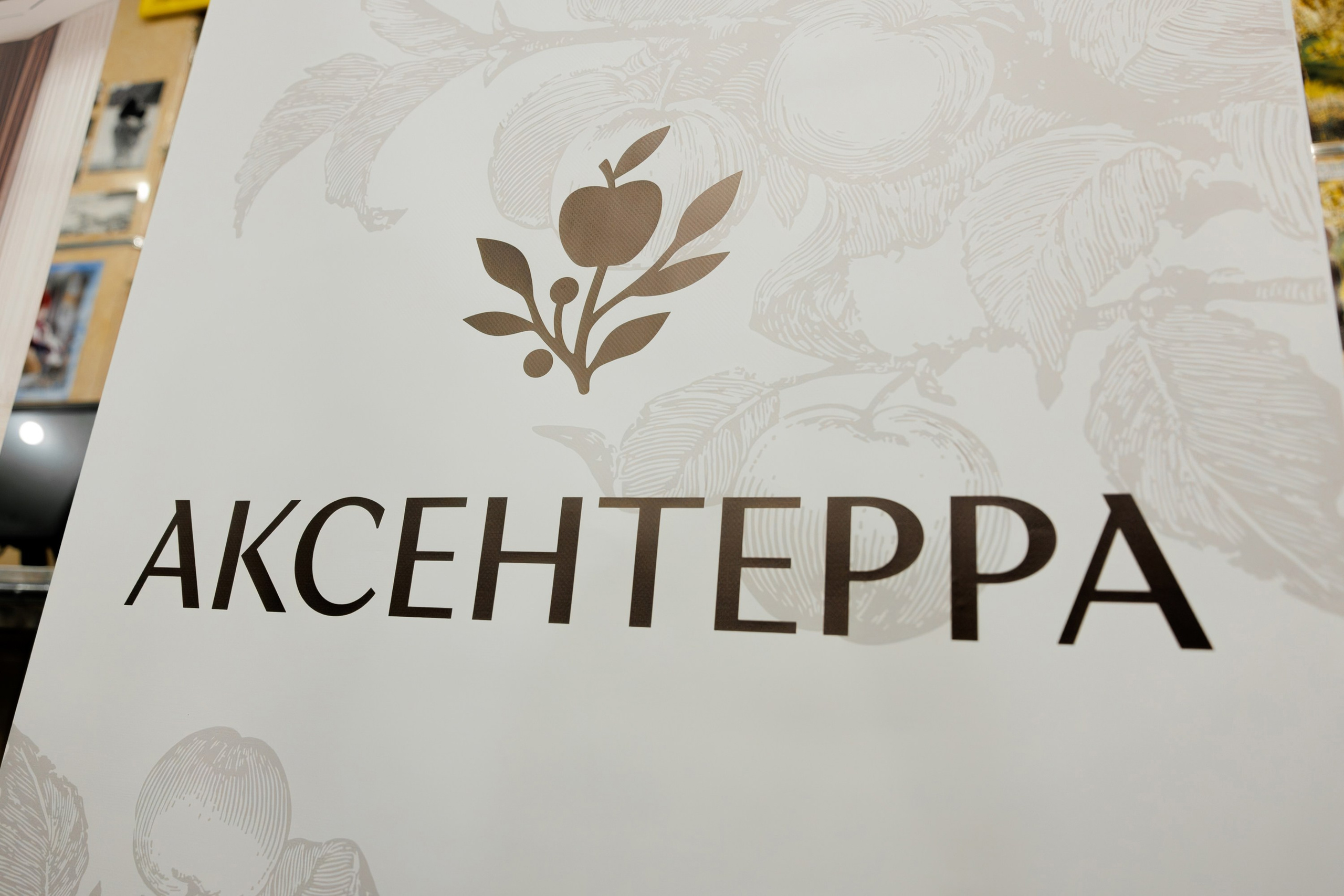 МОДНЫЙ ПОКАЗ. СВОИ. ФОТООТЧЕТЫ-СОБЫТИЯ-МЕСТА