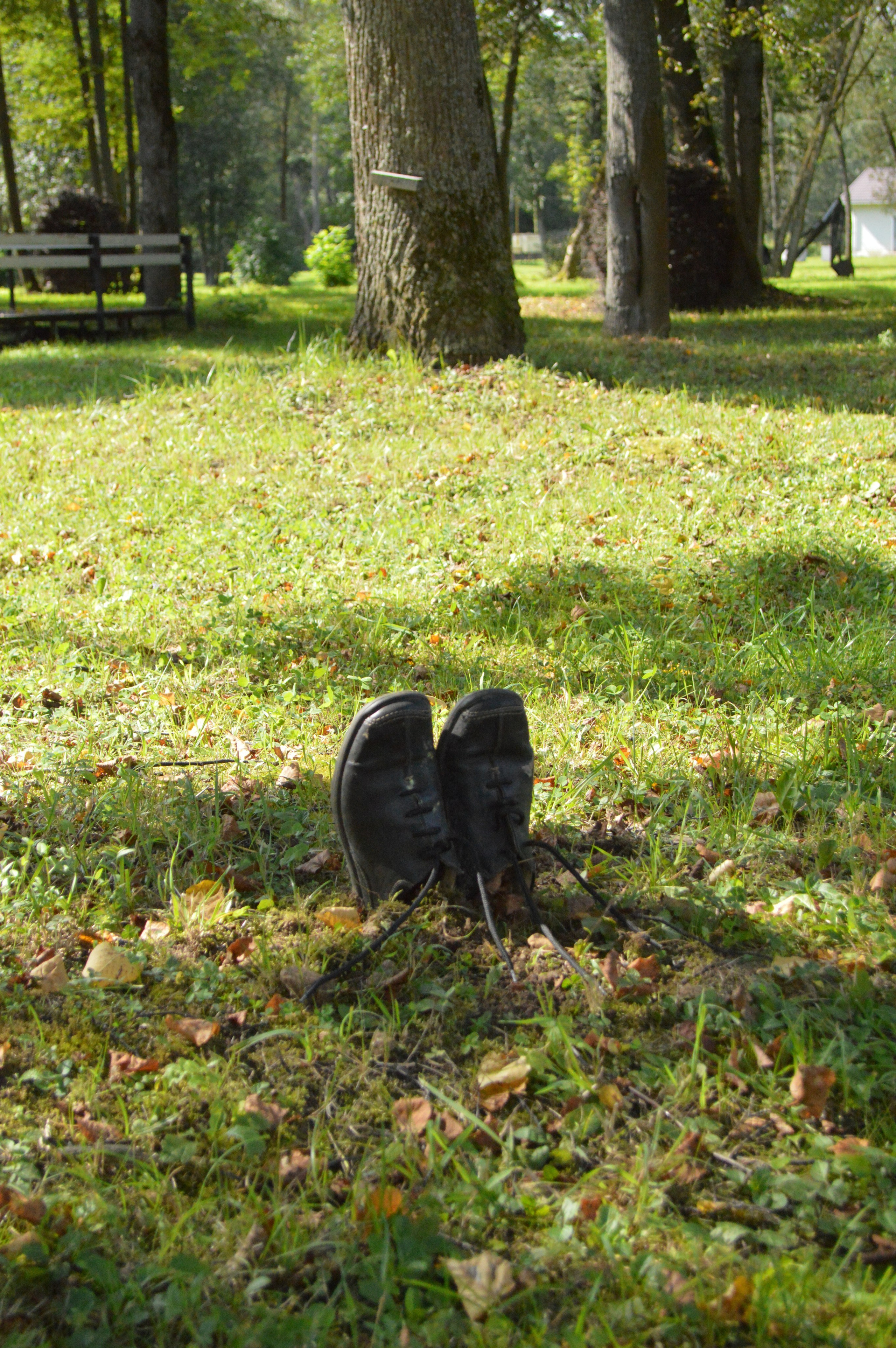 Резиденция «Белые аллеи» Москва. Лилия Ким. Междисциплинарный художник