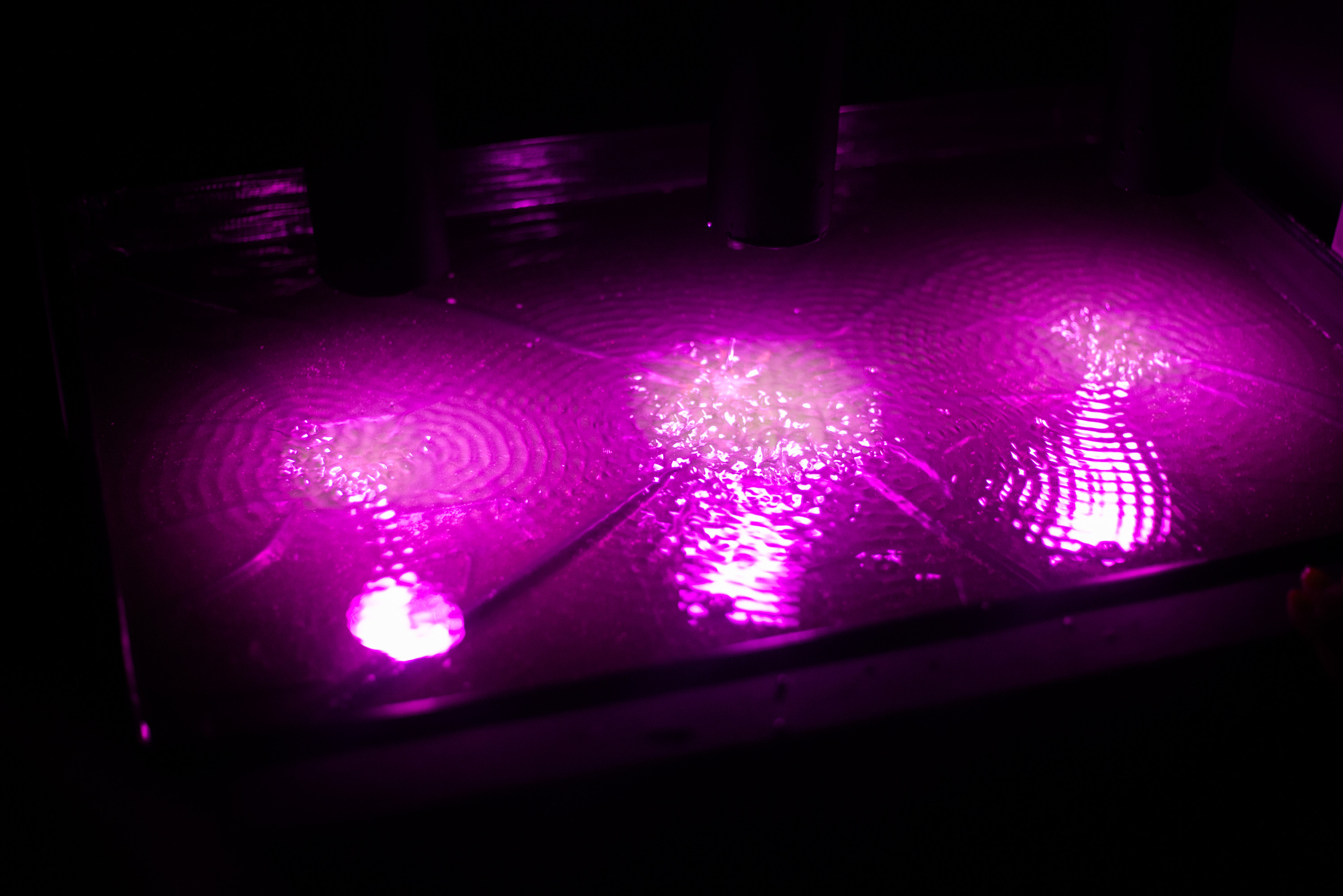 SOS.Sound Of Survivor. Aleksandra Mikhailova