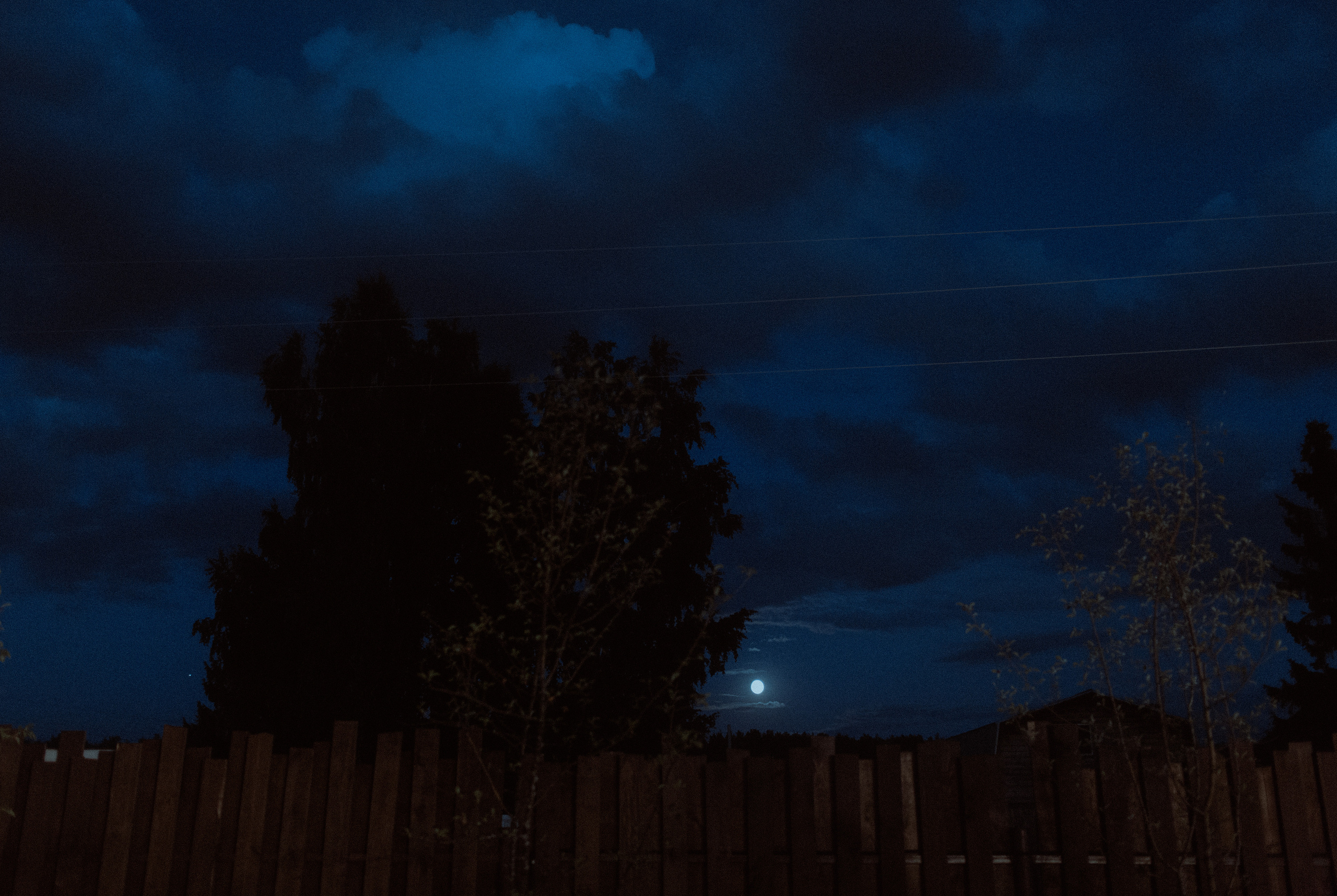 Никита & Алина. Свадебный фотограф Артак Костанян