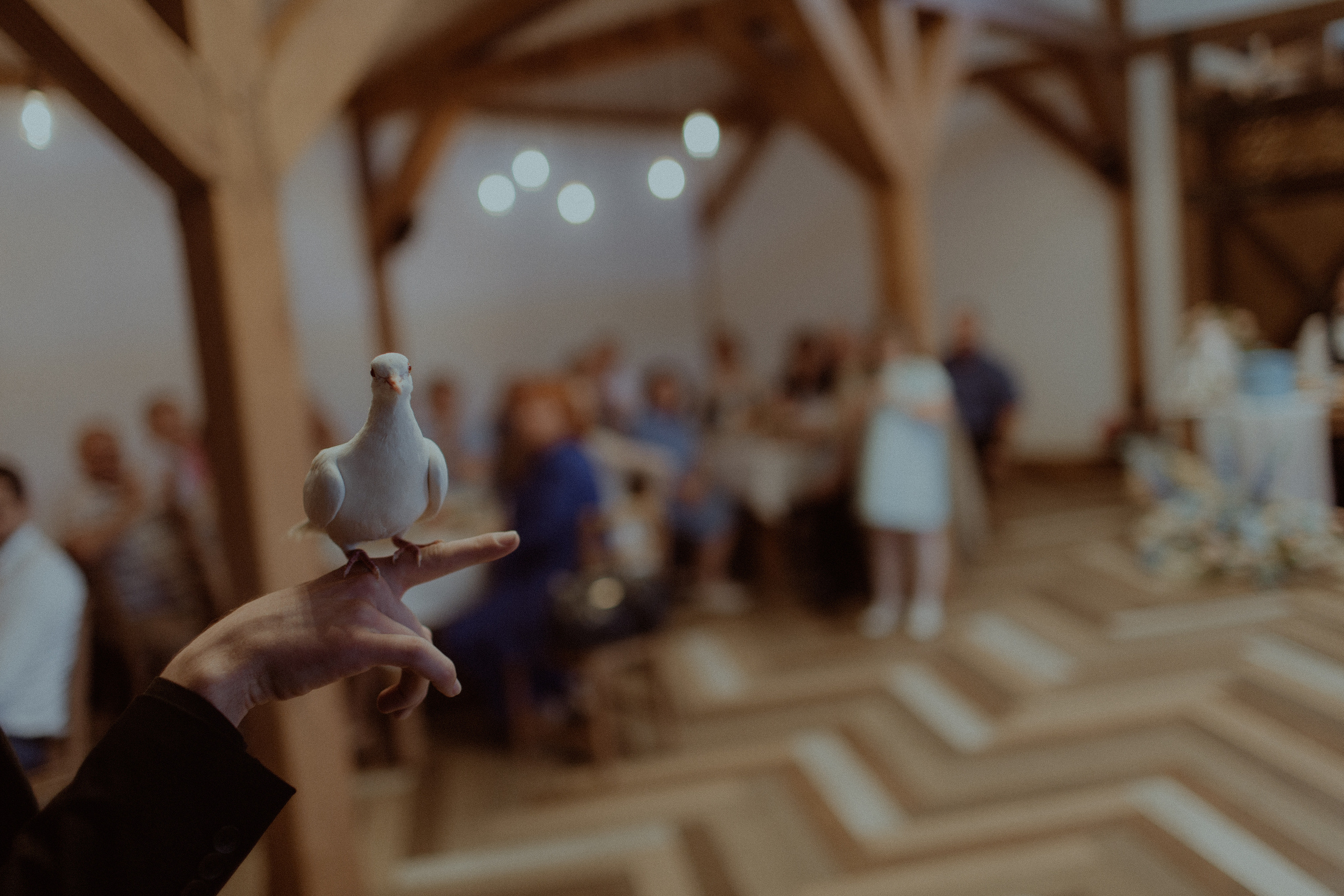 Никита & Алина. Свадебный фотограф Артак Костанян