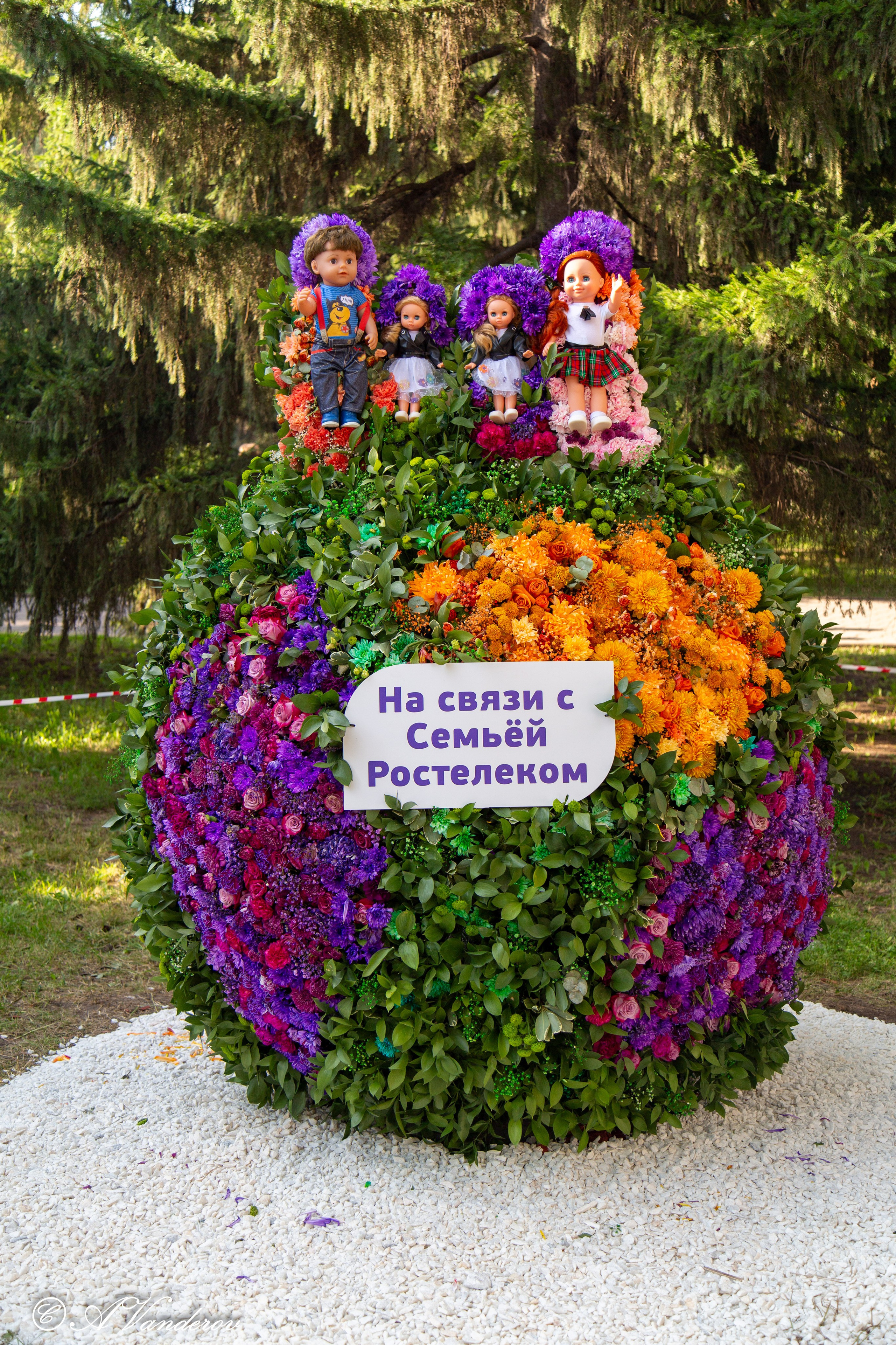 День города 03.08.2024. Фотограф Омск | Александр Вандеров