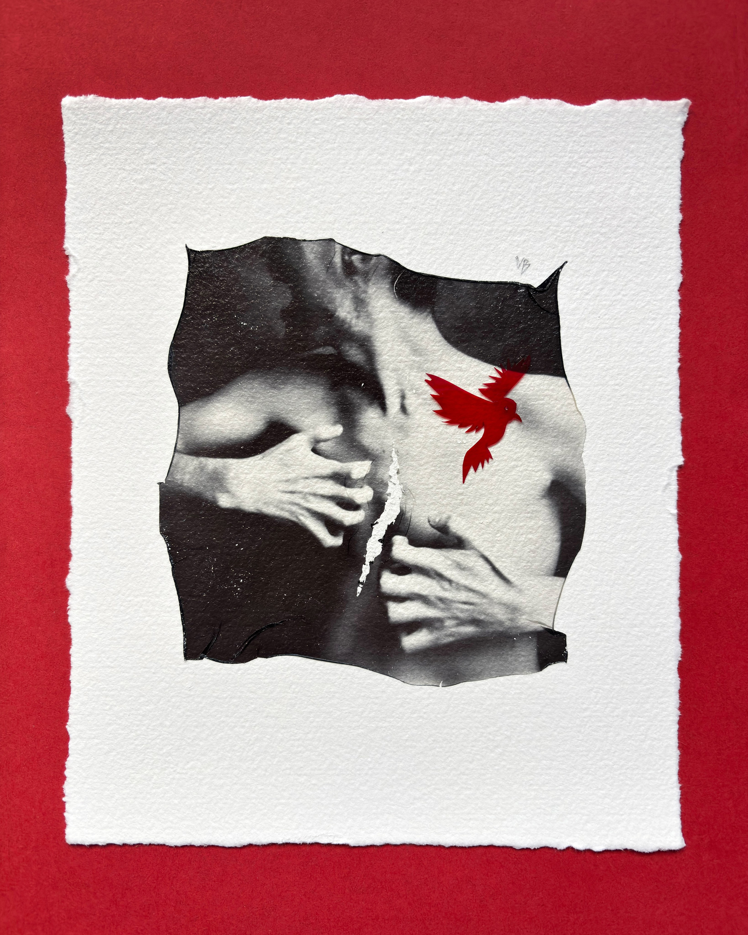 Liberation project by Vladimir Borele. Vladimir Borele Photographer