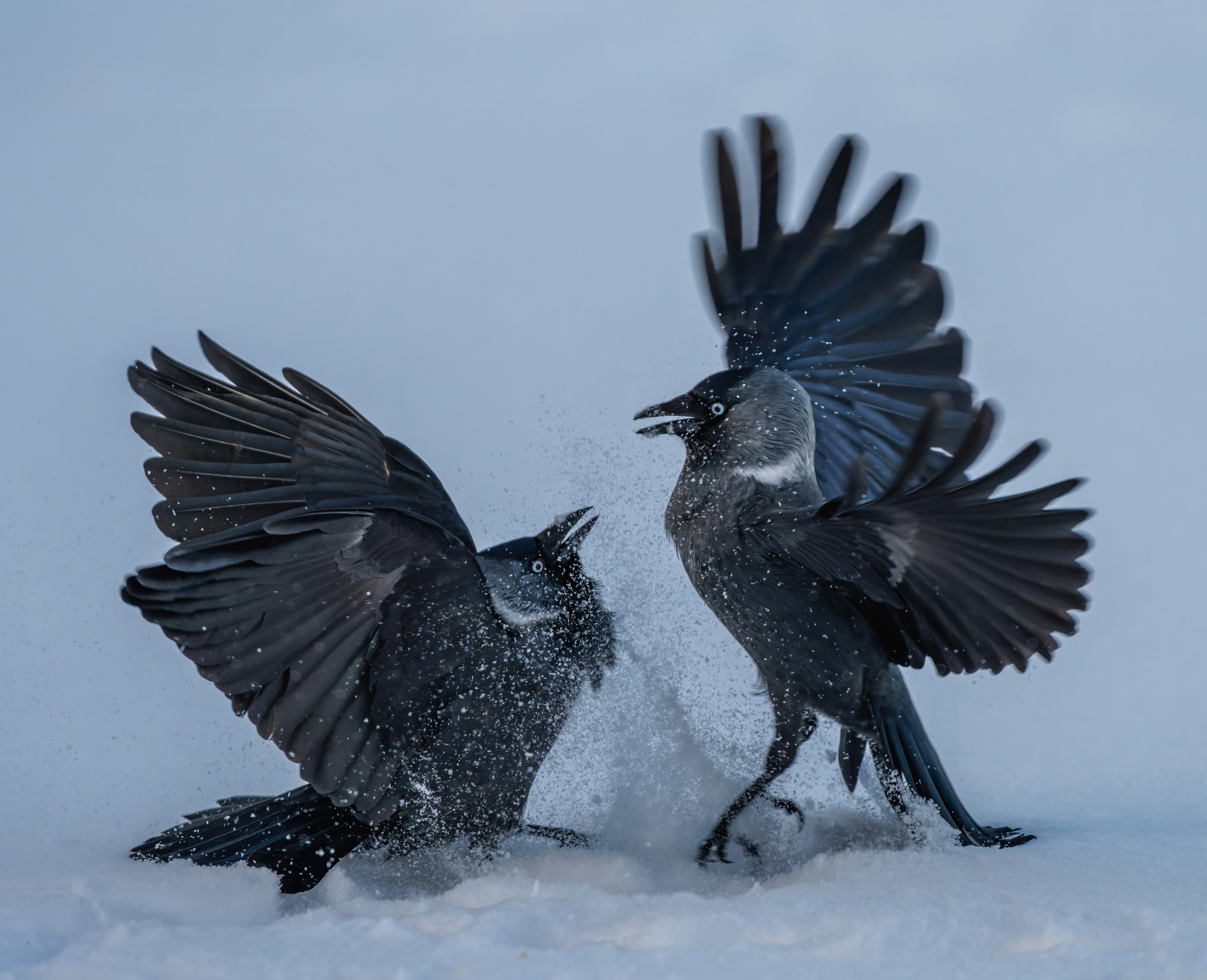 Творчество. Константин Дем | Фотограф