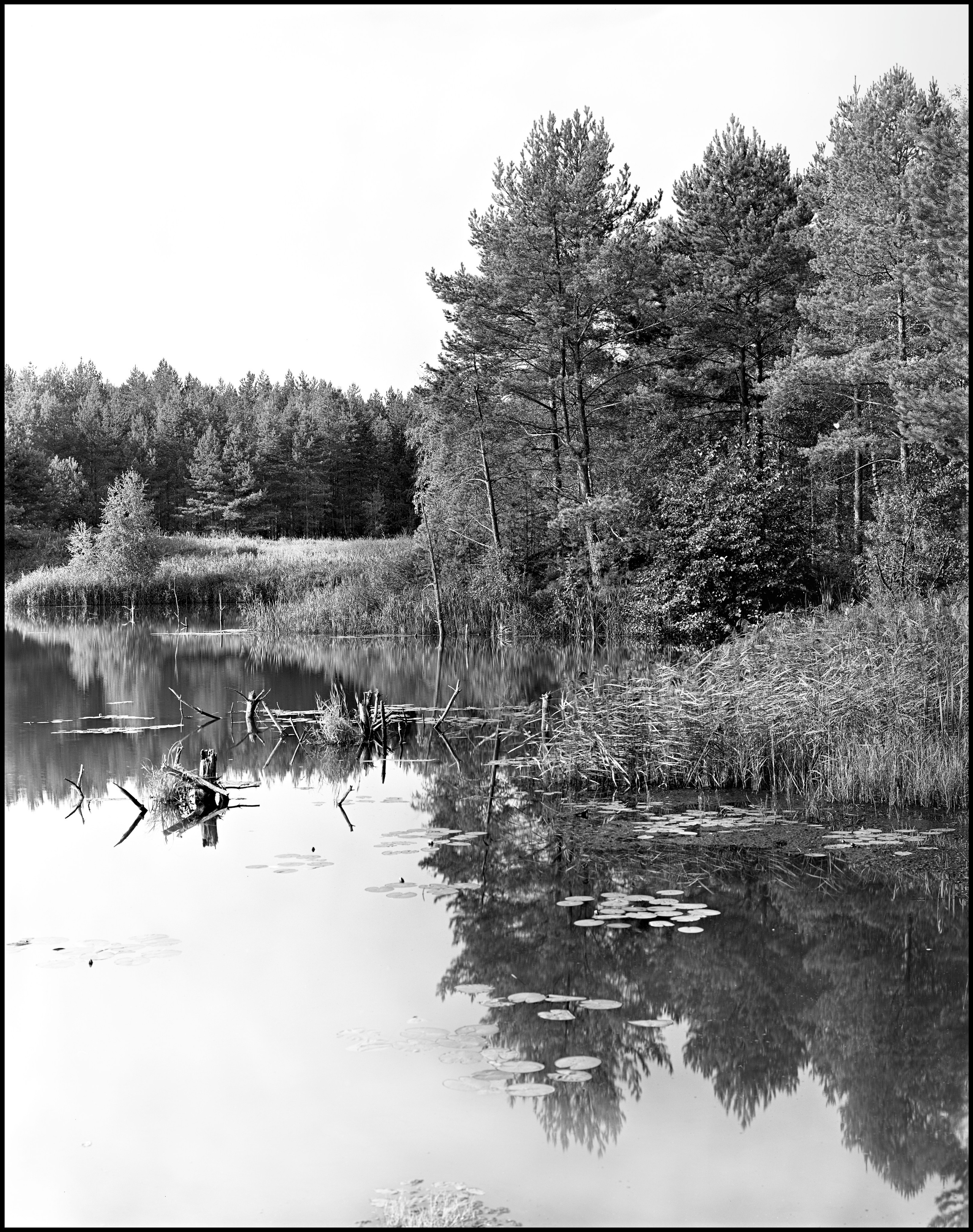 Landscape. Sergey Kondriuk art-photographer | artist