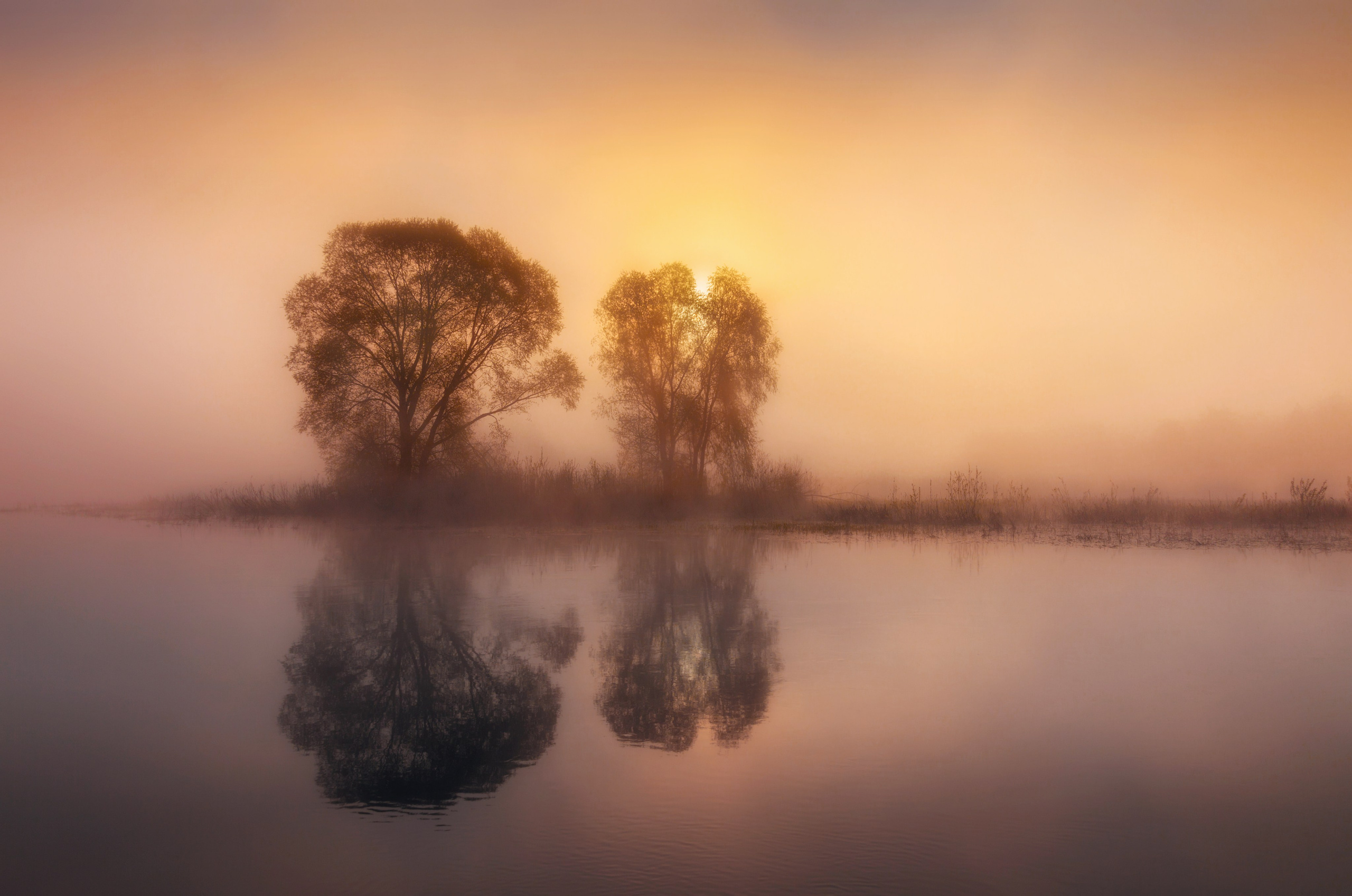 Воронежская область 2024| Фотограф Дмитрий Купрацевич. Дмитрий Купрацевич профессиональный пейзажный и travel-фотограф