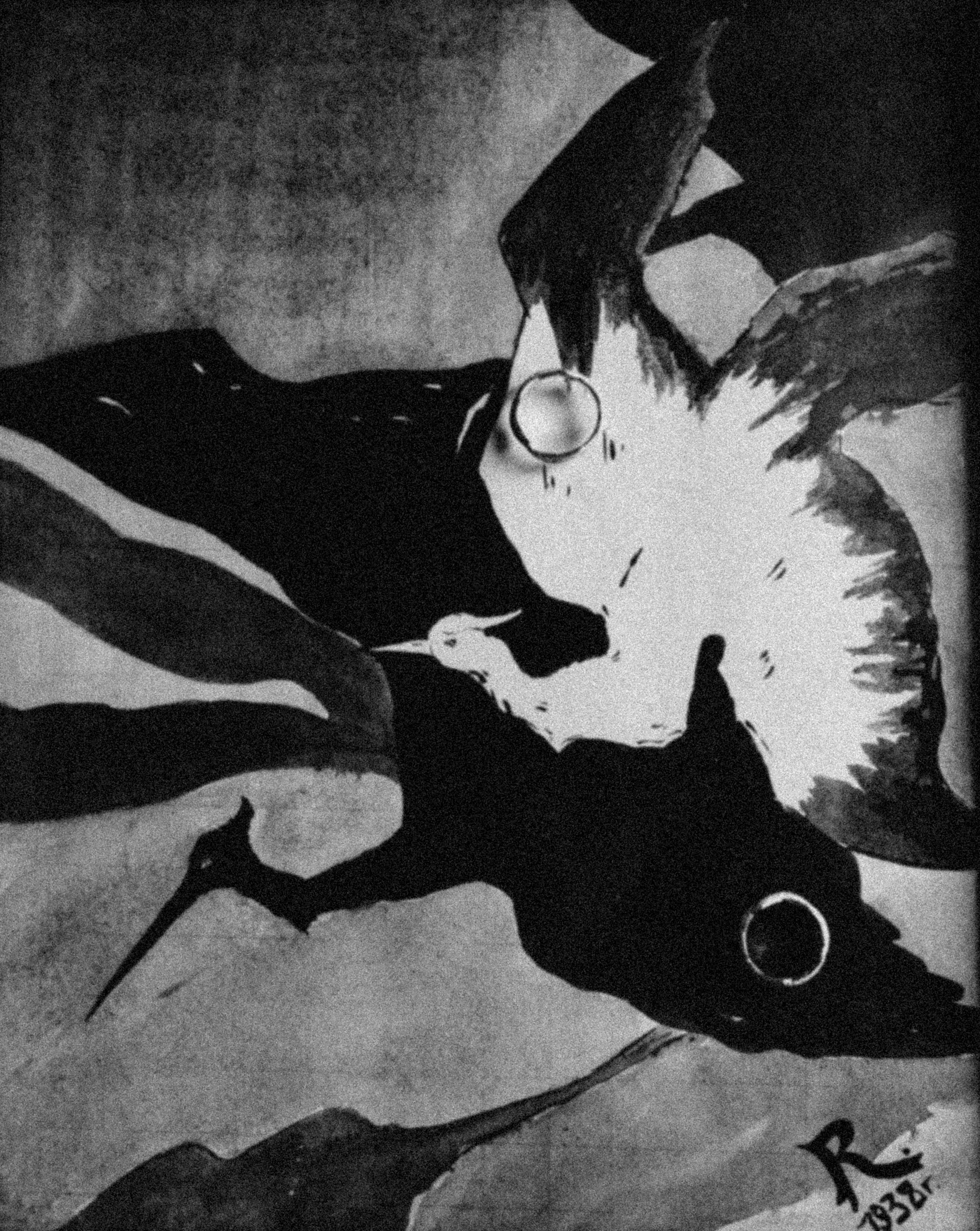 Фотограф Анастасия Платонова | Санкт-Петербург