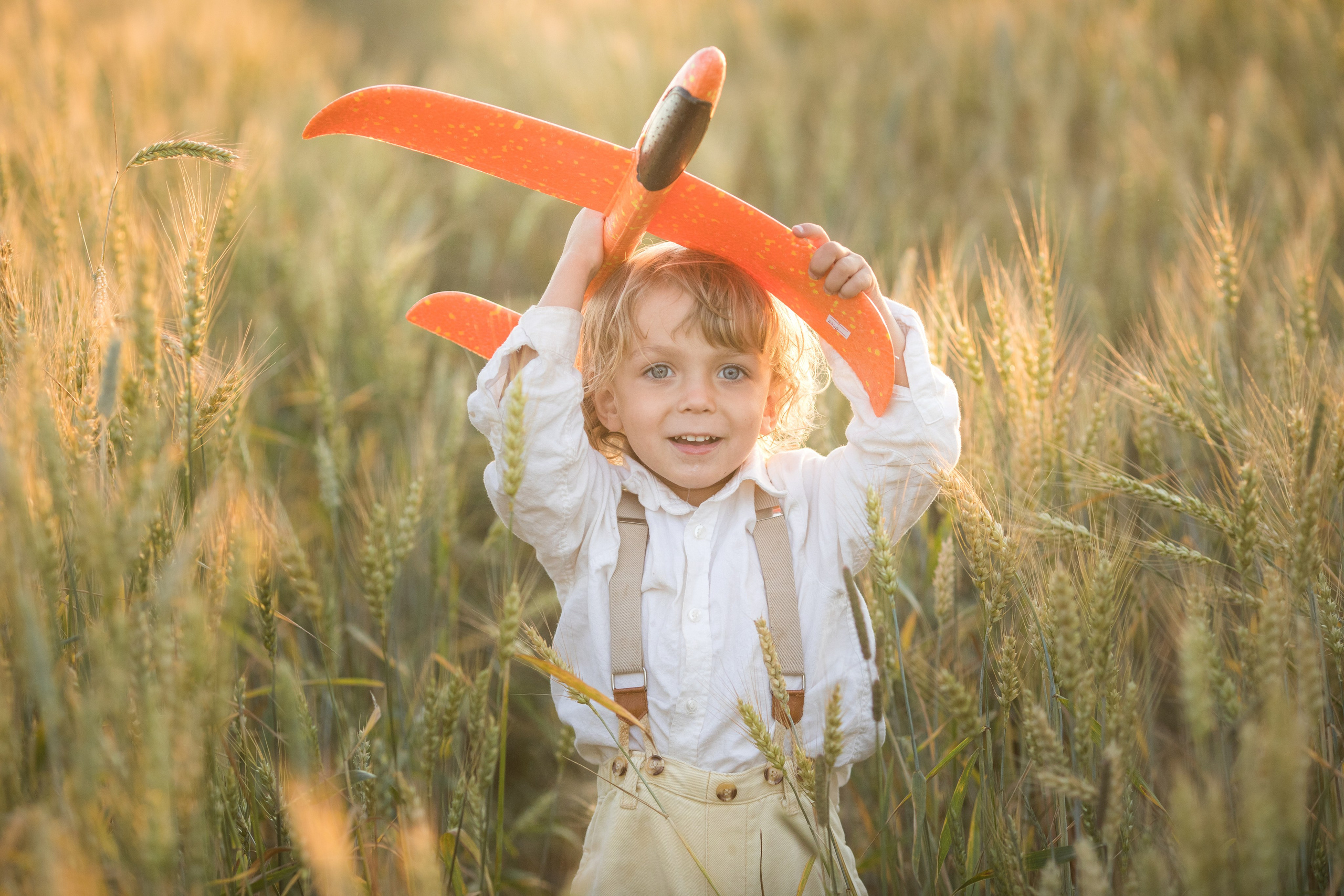 Счастливый маленький мальчик с светлыми волосами идет по пшеничному полу в лучах закатного солнца , держа в руках игрушечный самолет.