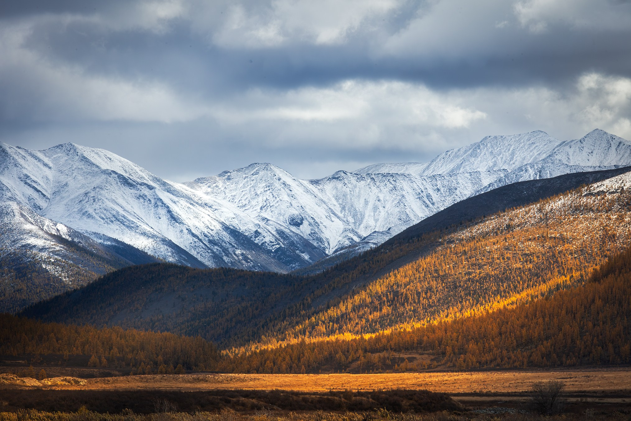 Сибирь. High-quality interior photos for your home, office, hotel