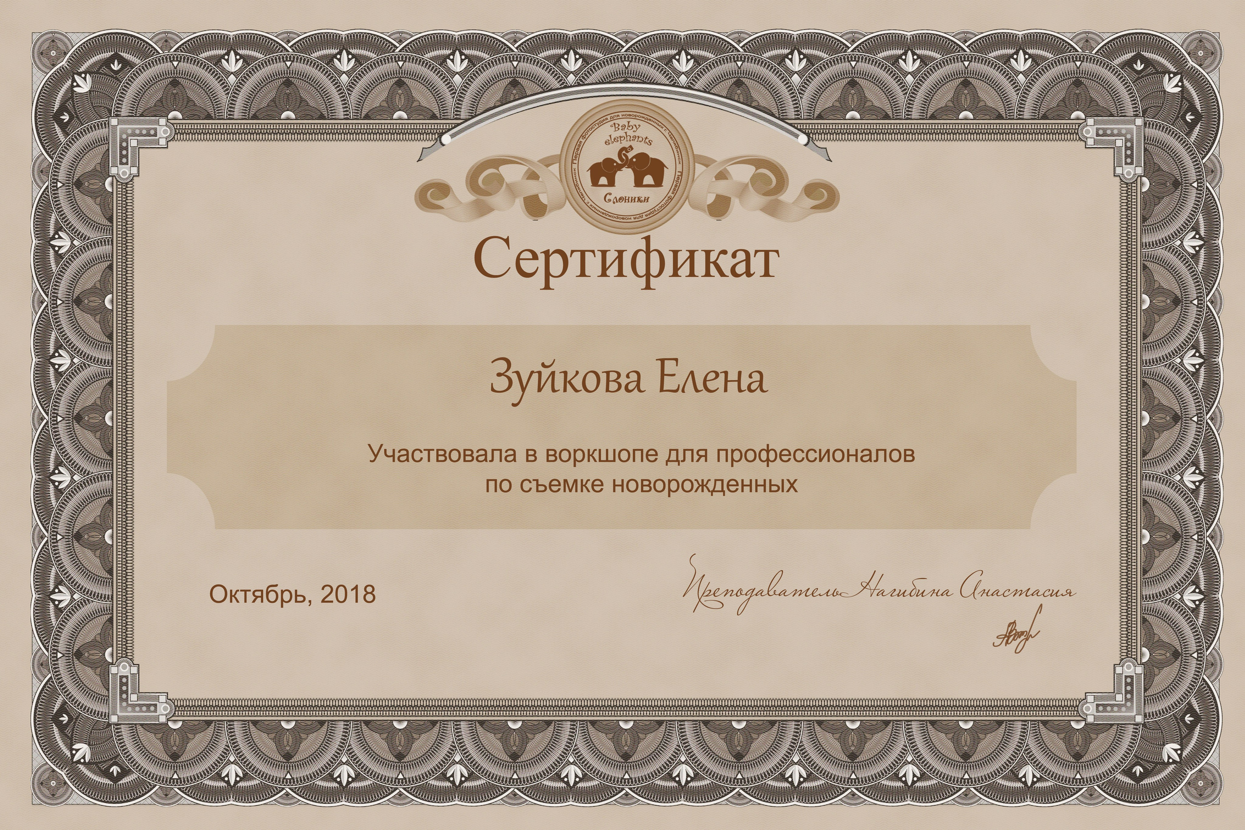 Познакомиться поближе. Фотограф Елена Зуйкова