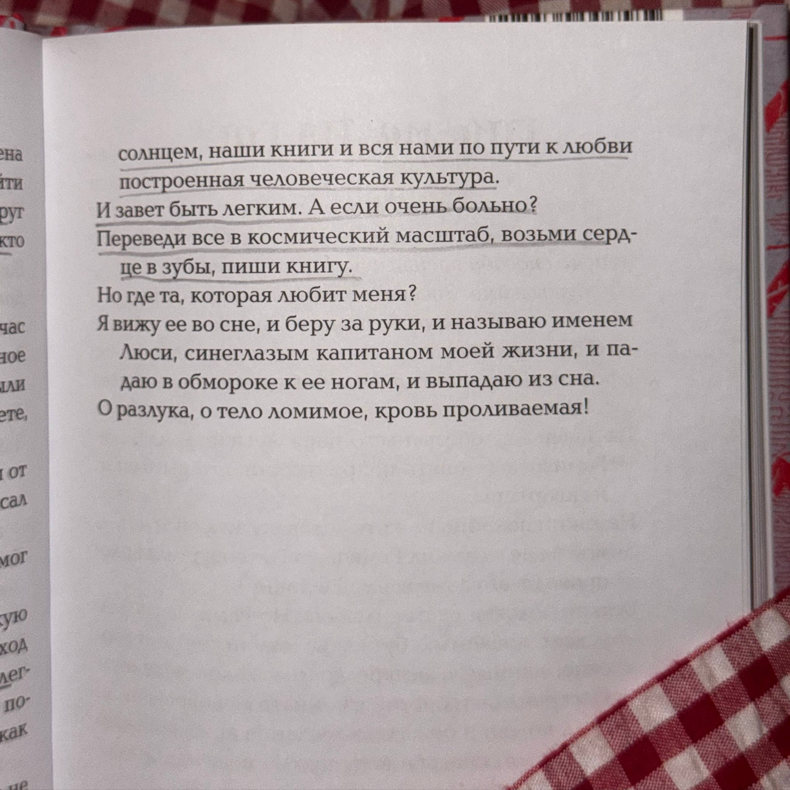 Книжка с буквами. Аня белка — художница и фотограф