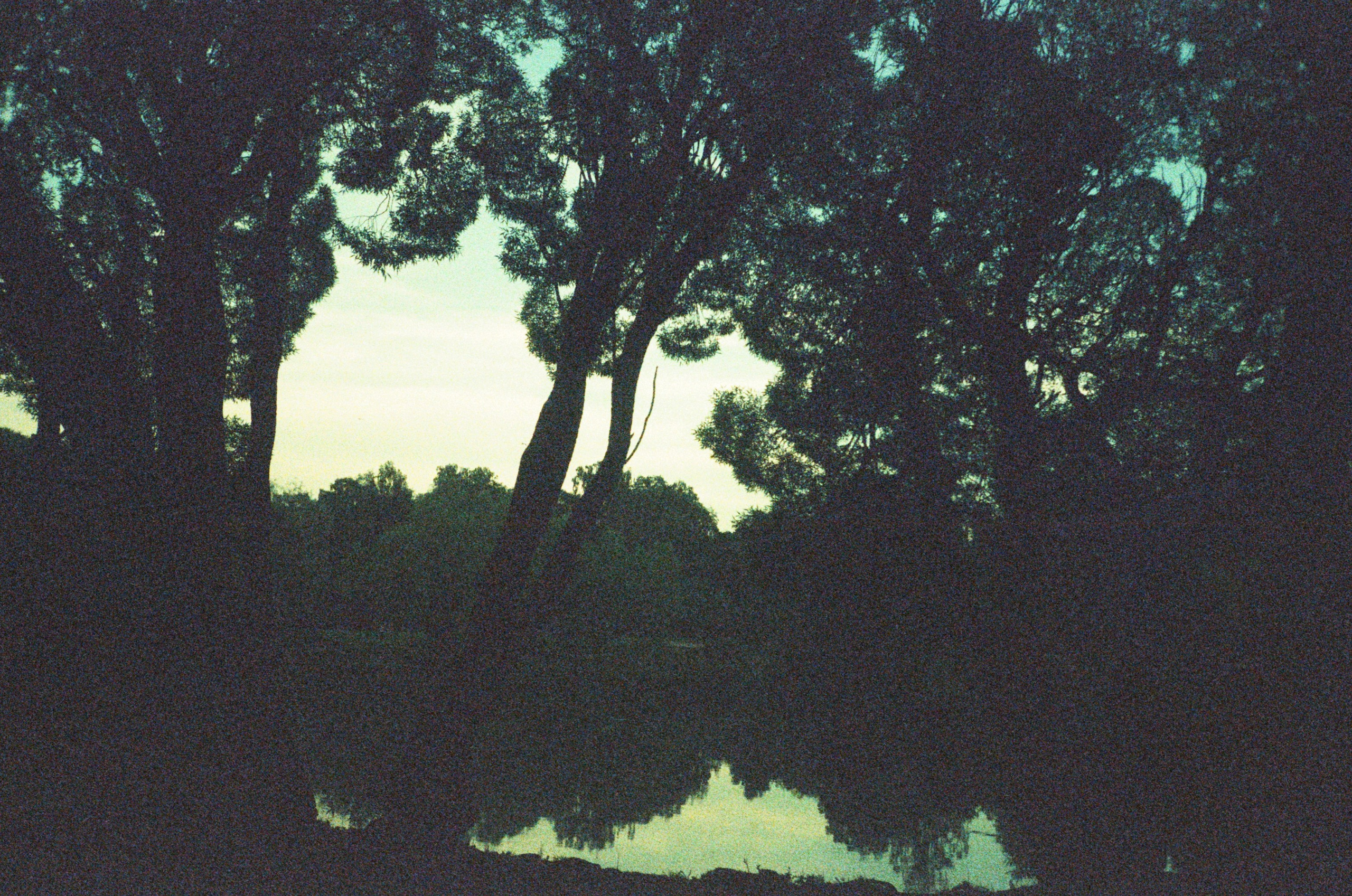 Автор: Степан Завизион