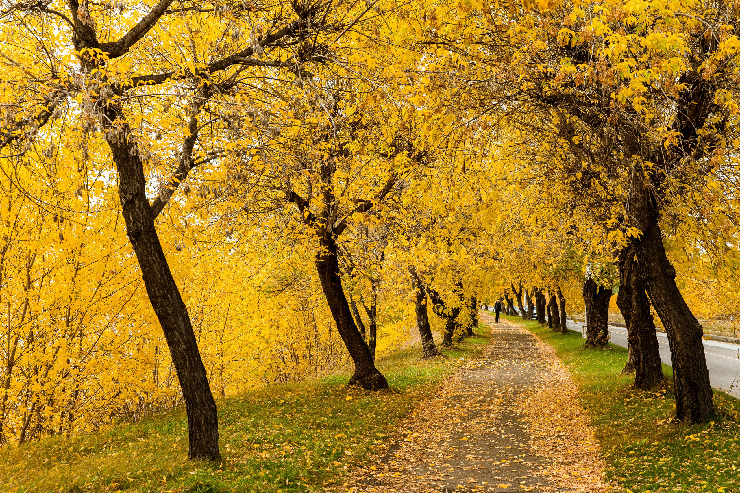 Осень в парке. Семейный и детский фотограф в Железногорске Саламахо Ольга