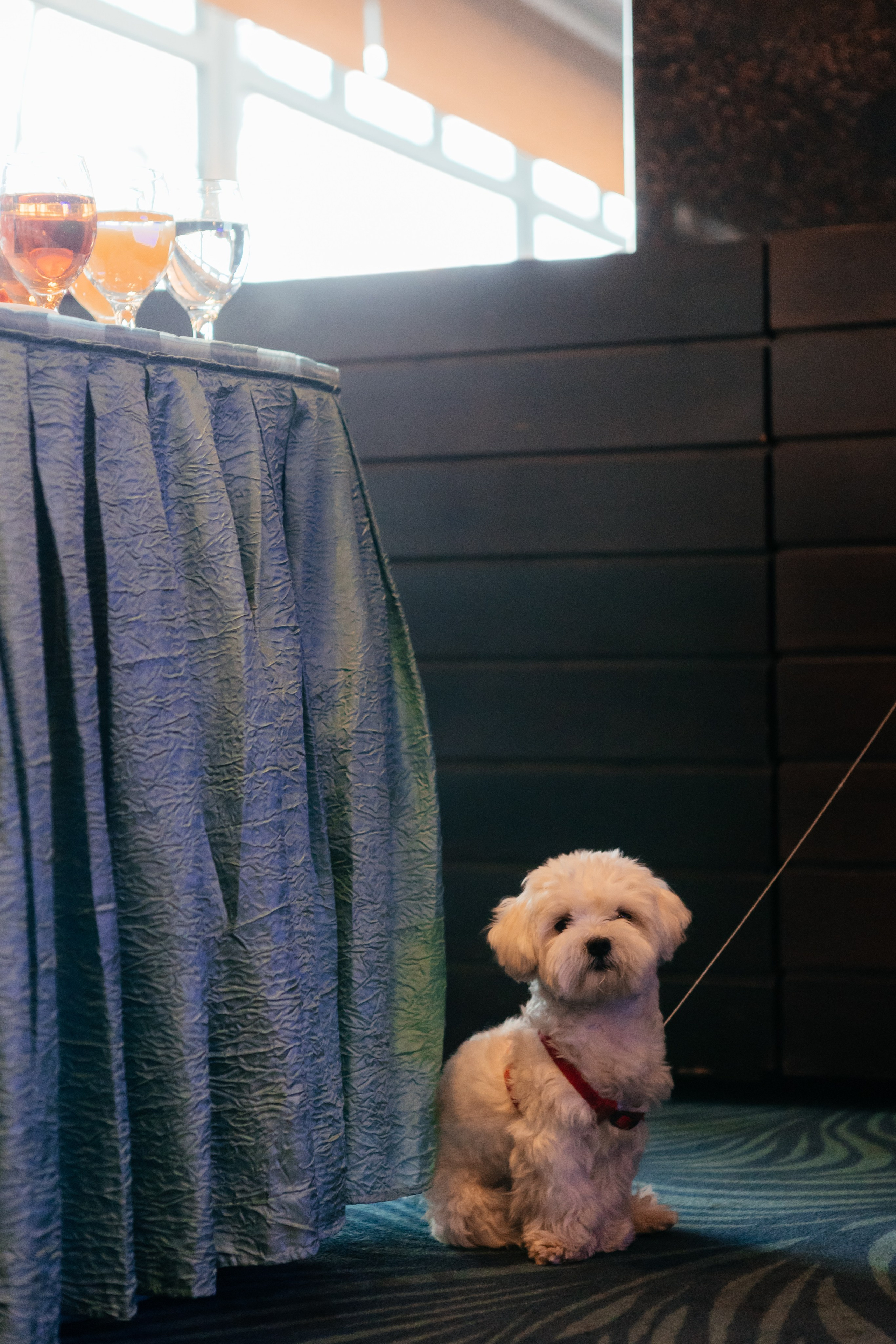 ПРЕМИЯ 2ГИС | PART II. СВОИ. ФОТООТЧЕТЫ-СОБЫТИЯ-МЕСТА