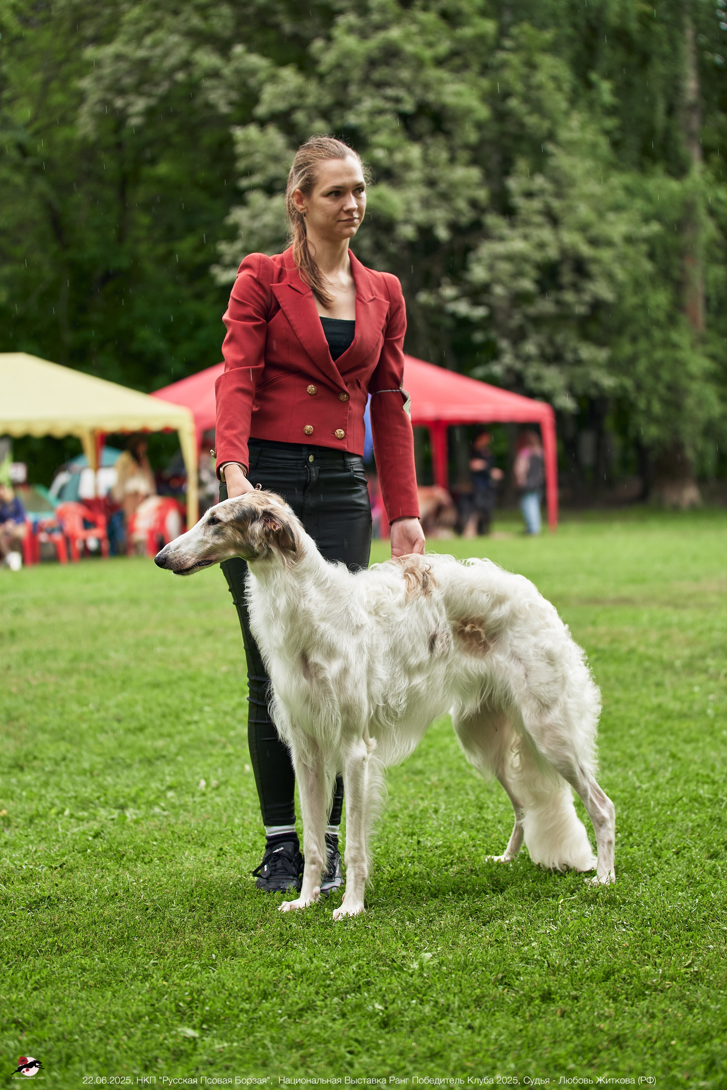 22.06.2025 | Национальная Выставка НКП "Русская Псовая Борзая"