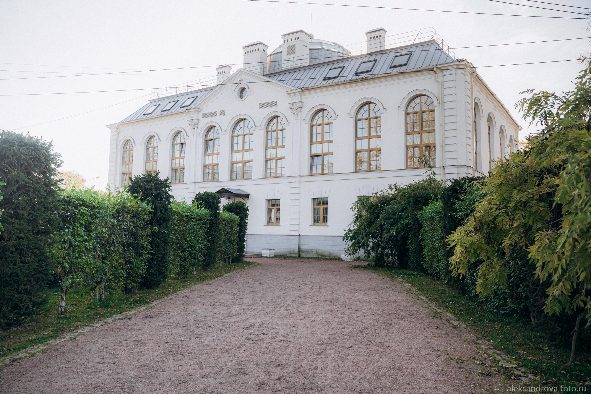 Дворец бракосочетания № 4. Фотограф беременных в СПб — Елена Александрова