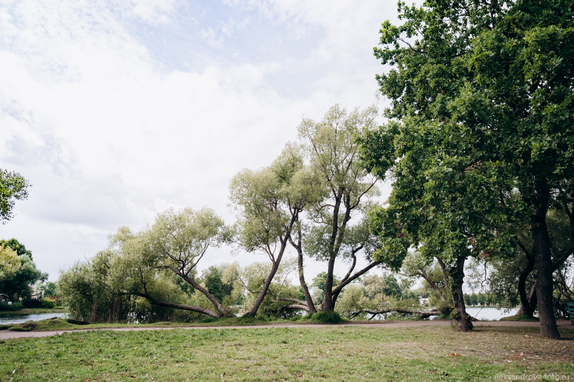 Дворец бракосочетания № 4. Фотограф беременных в СПб — Елена Александрова