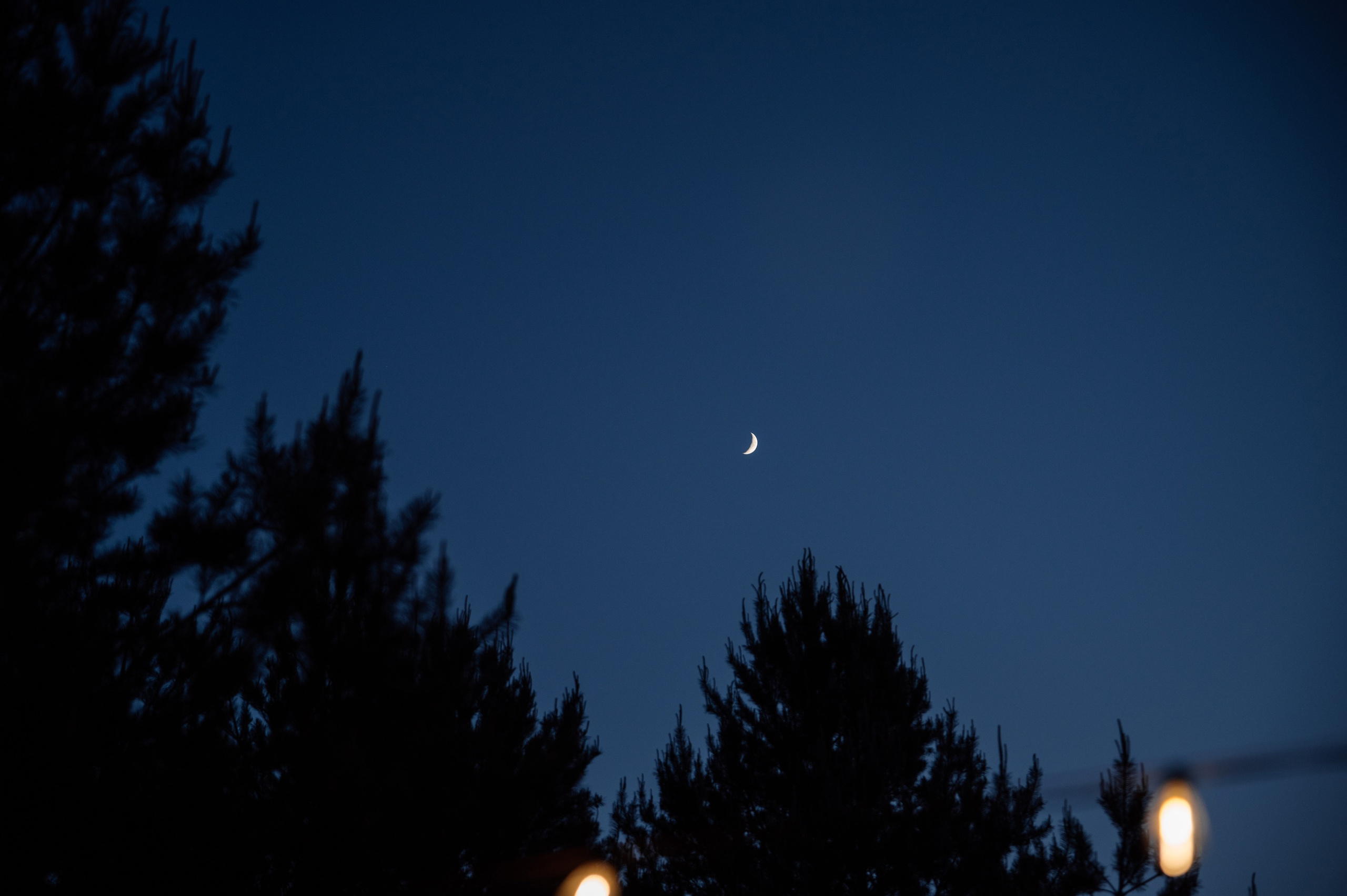 Свадебная фотосессия пары в Агроусадьбе Дачка бай