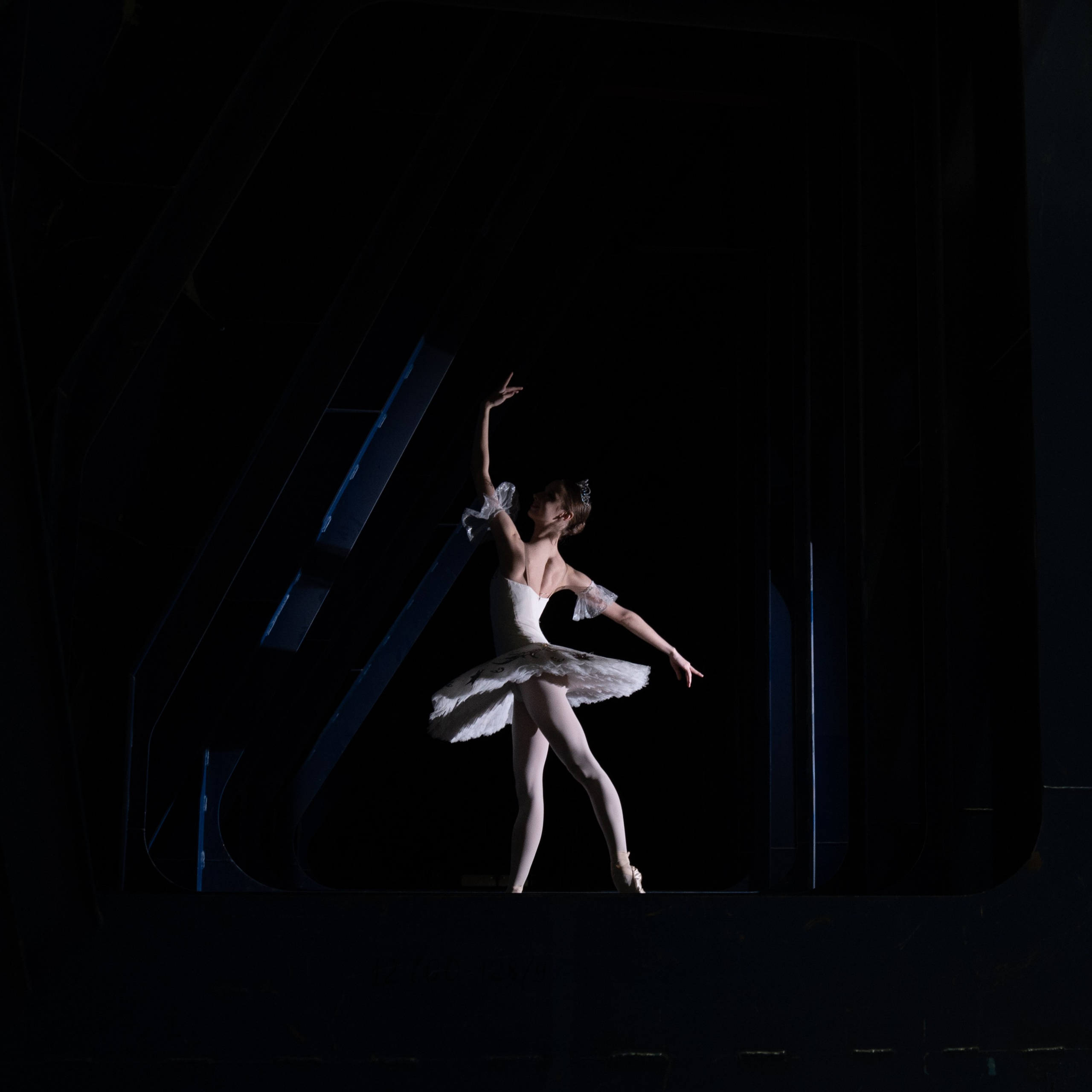 Дмитрий Старков — фотограф