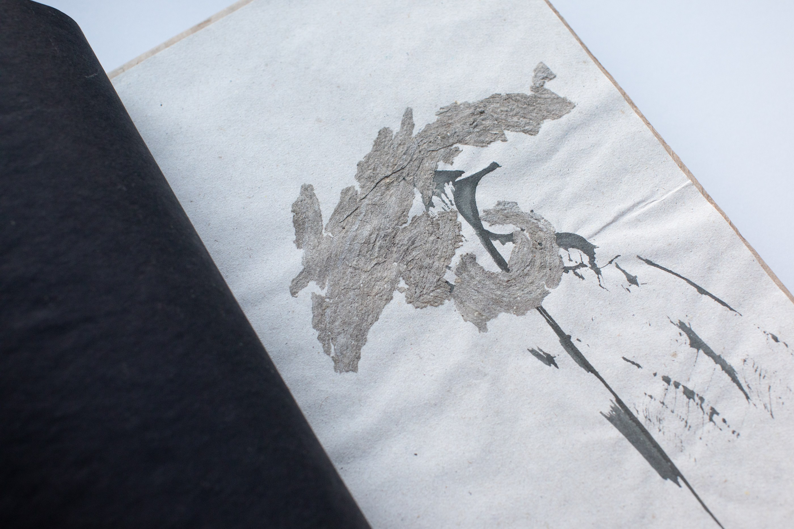 Подсосенские тетради. Natalya Madilyan