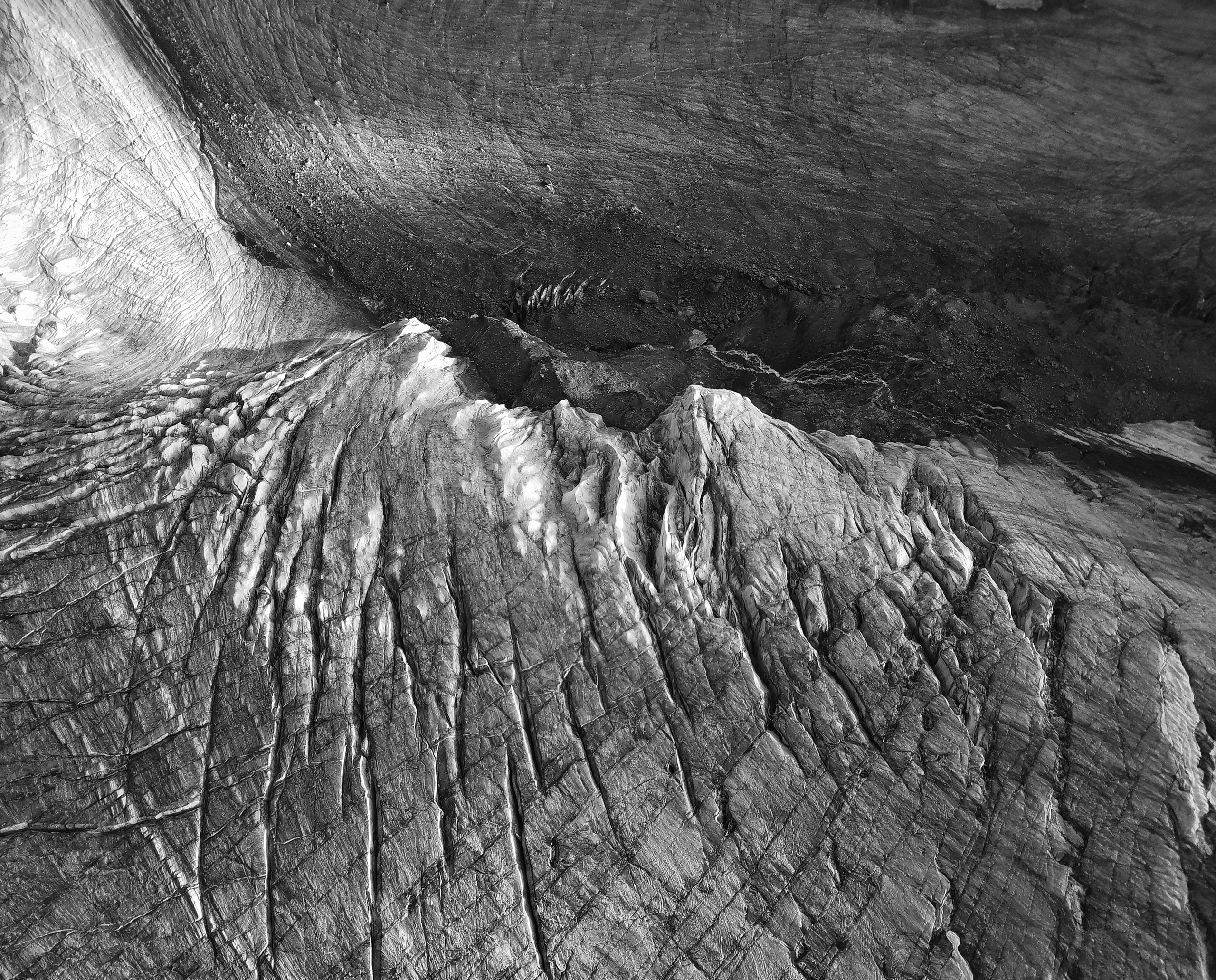 Ex humus. Alexander Nikolsky