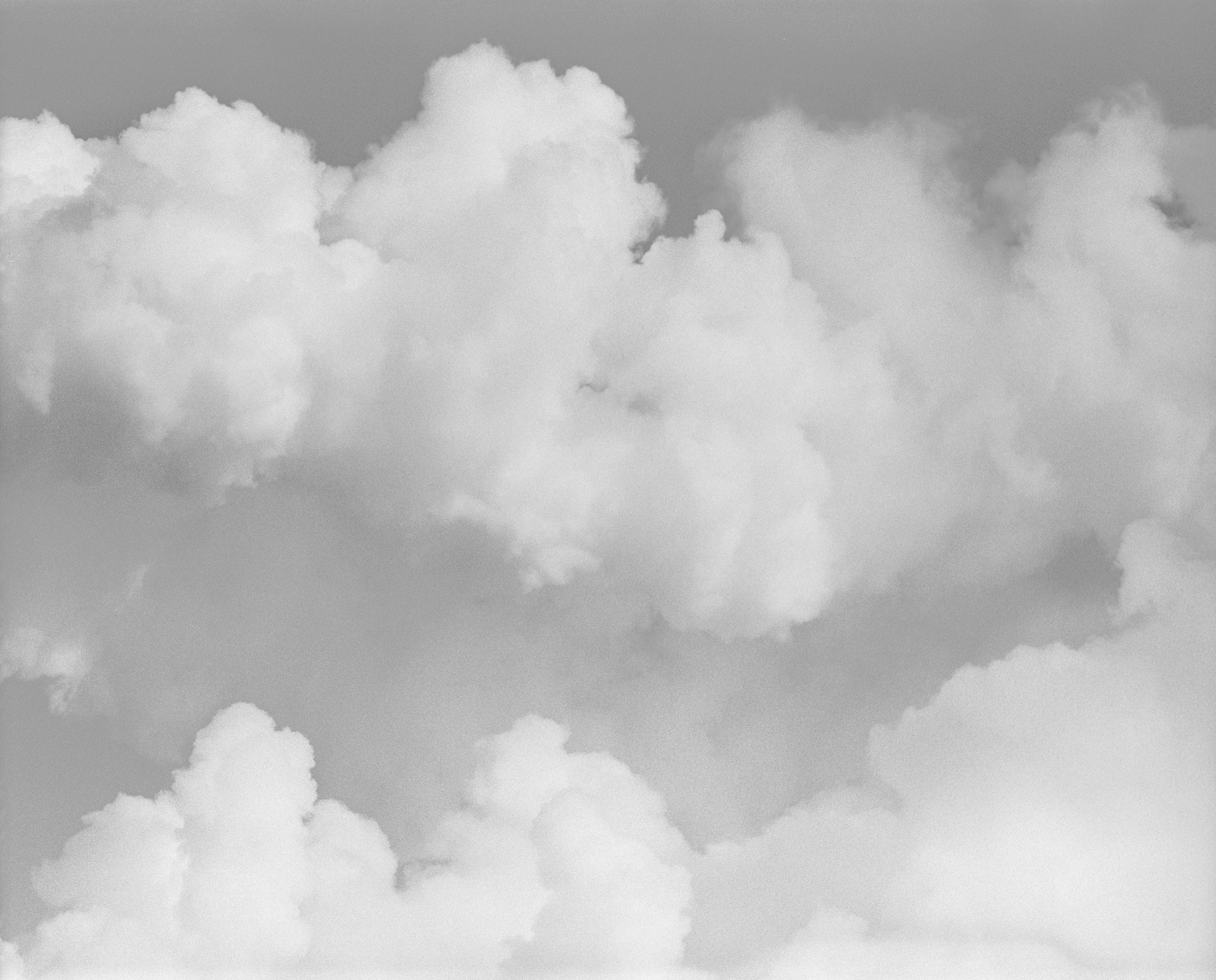 Ex humus. Alexander Nikolsky