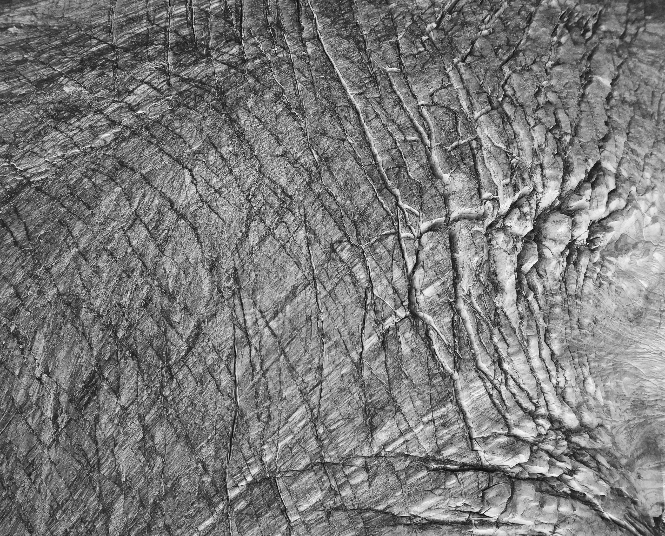 Ex humus. Alexander Nikolsky