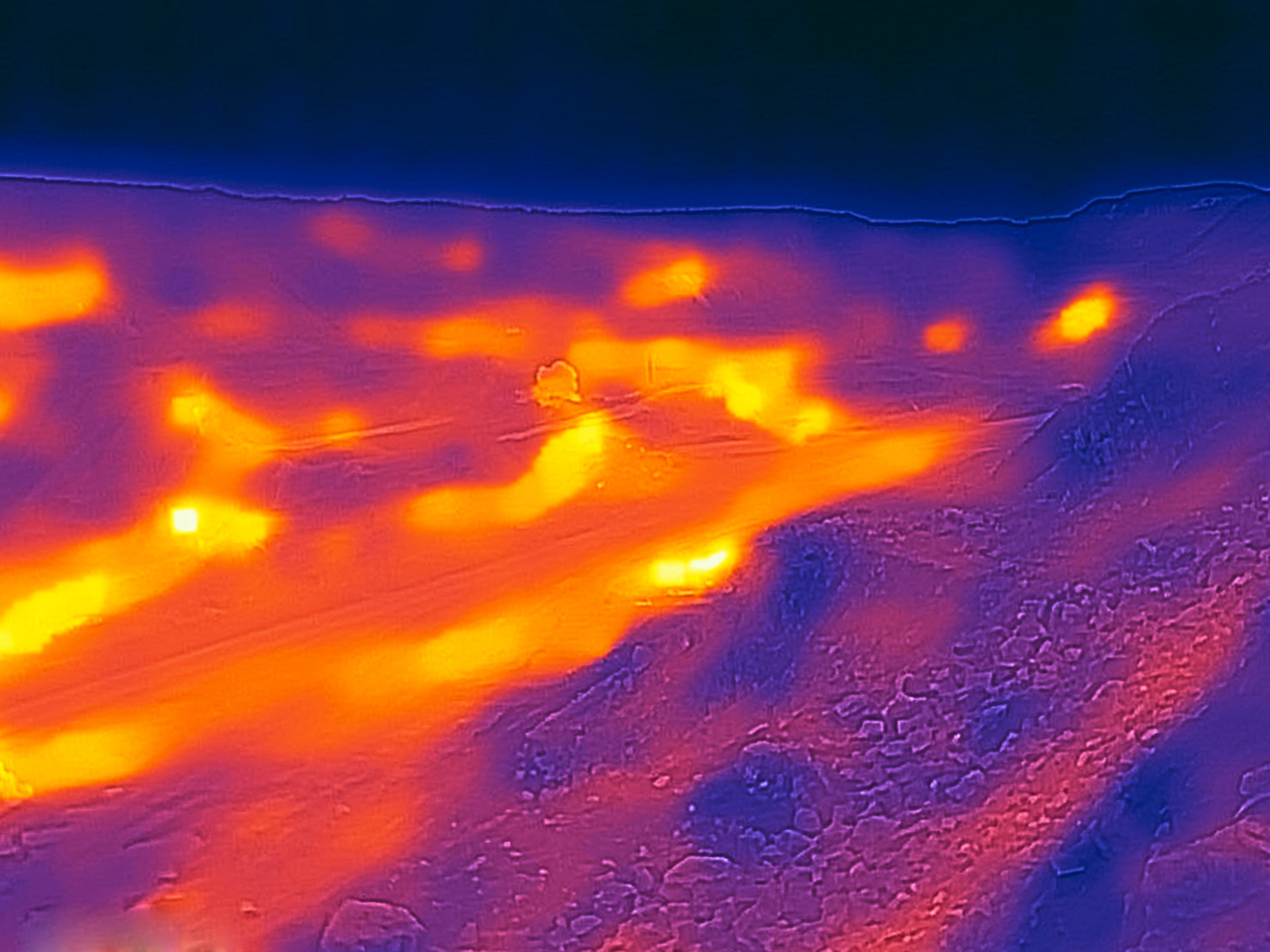 Ex humus. Alexander Nikolsky