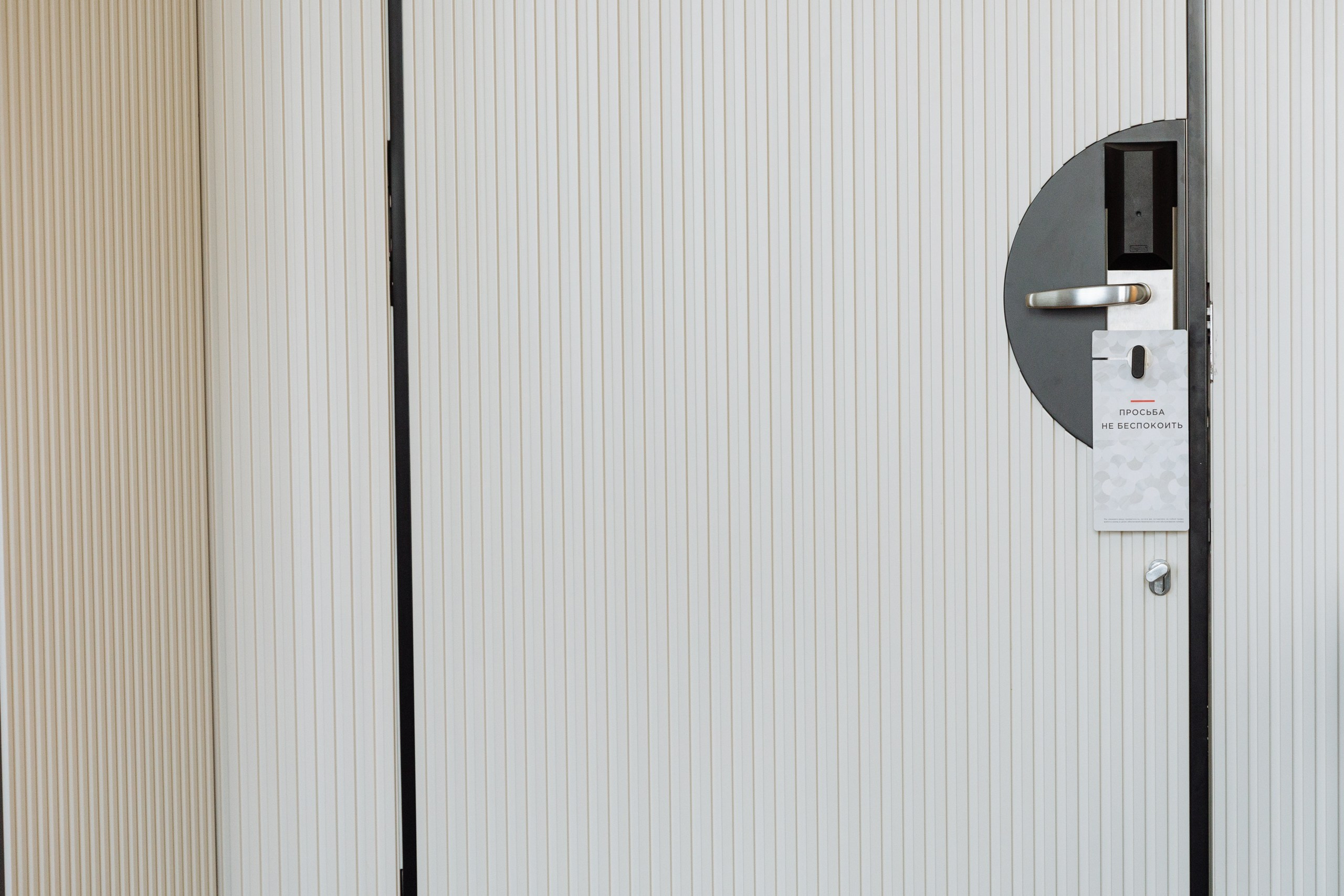 Дима и Амина