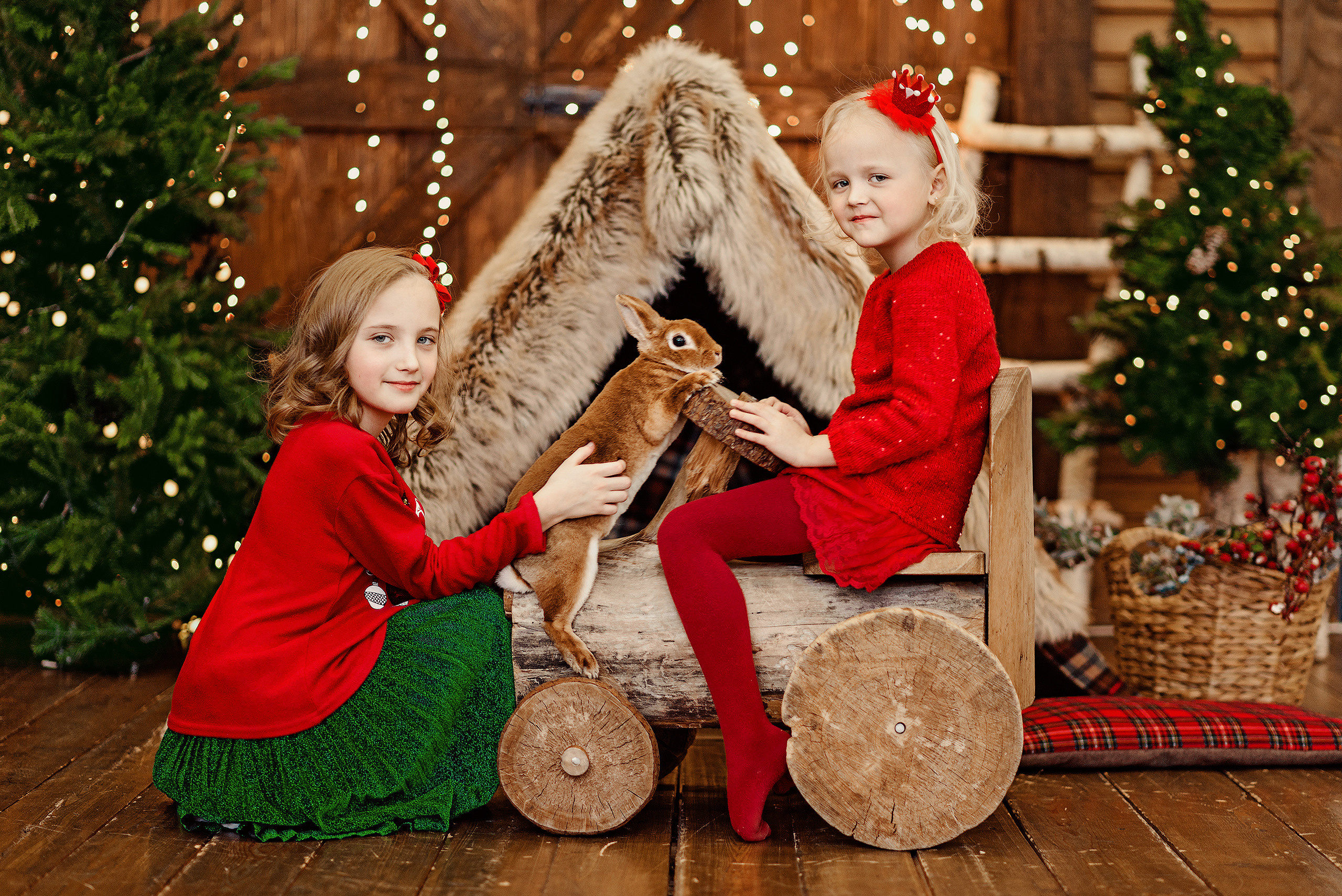 Девочки с кроликом в новогодней студии.