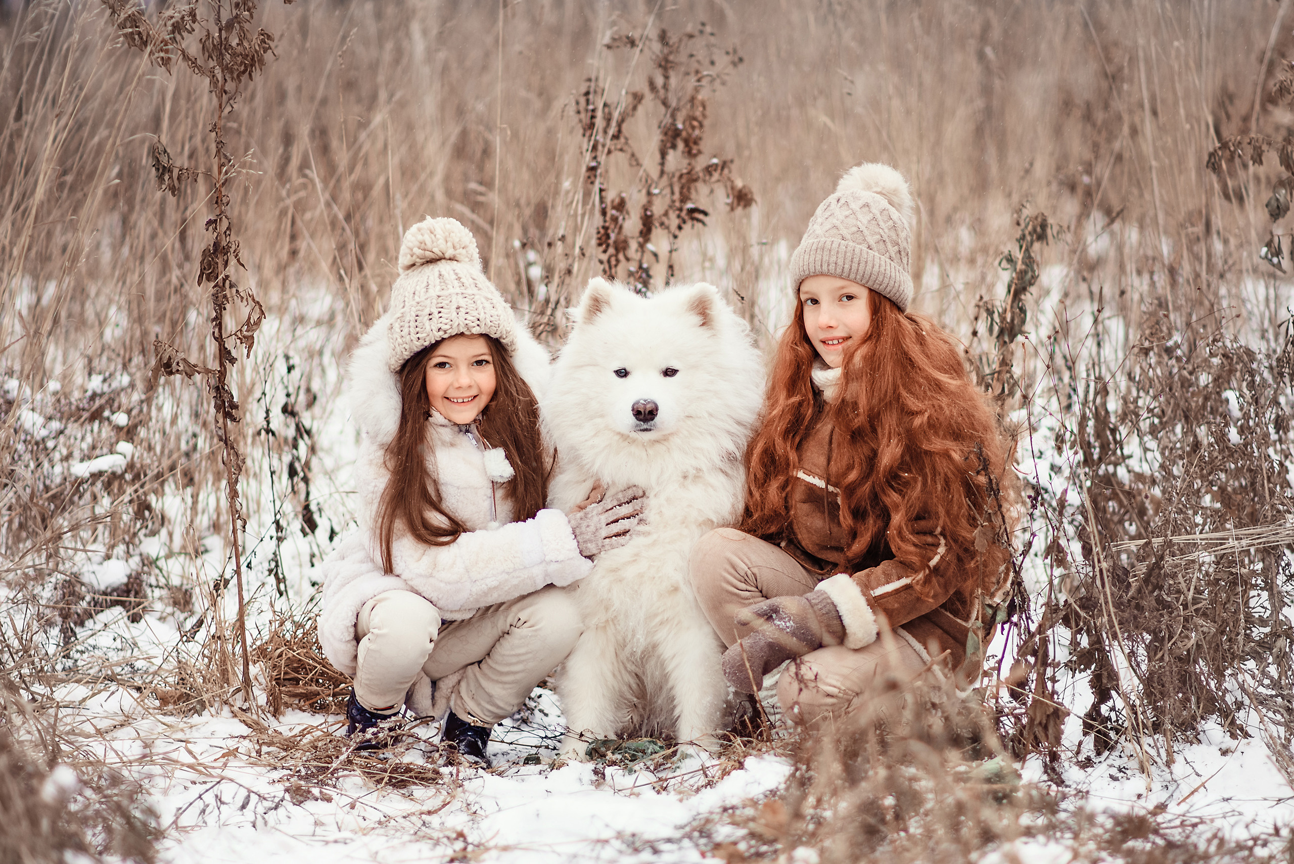 Две девочки и самоед позируют на зимней фотосессии.