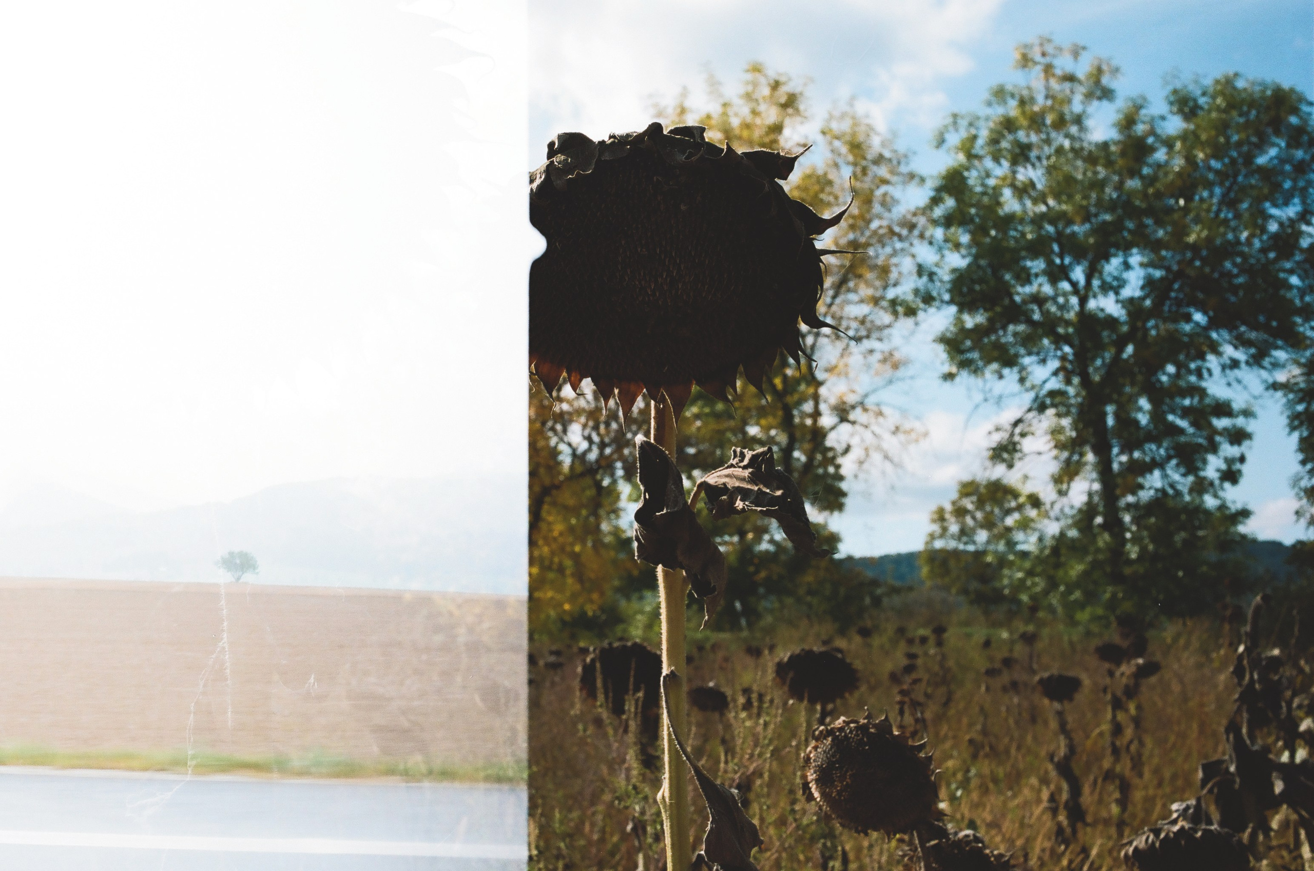 Przepraszam/Sorry. Photographer, Documentary and Art