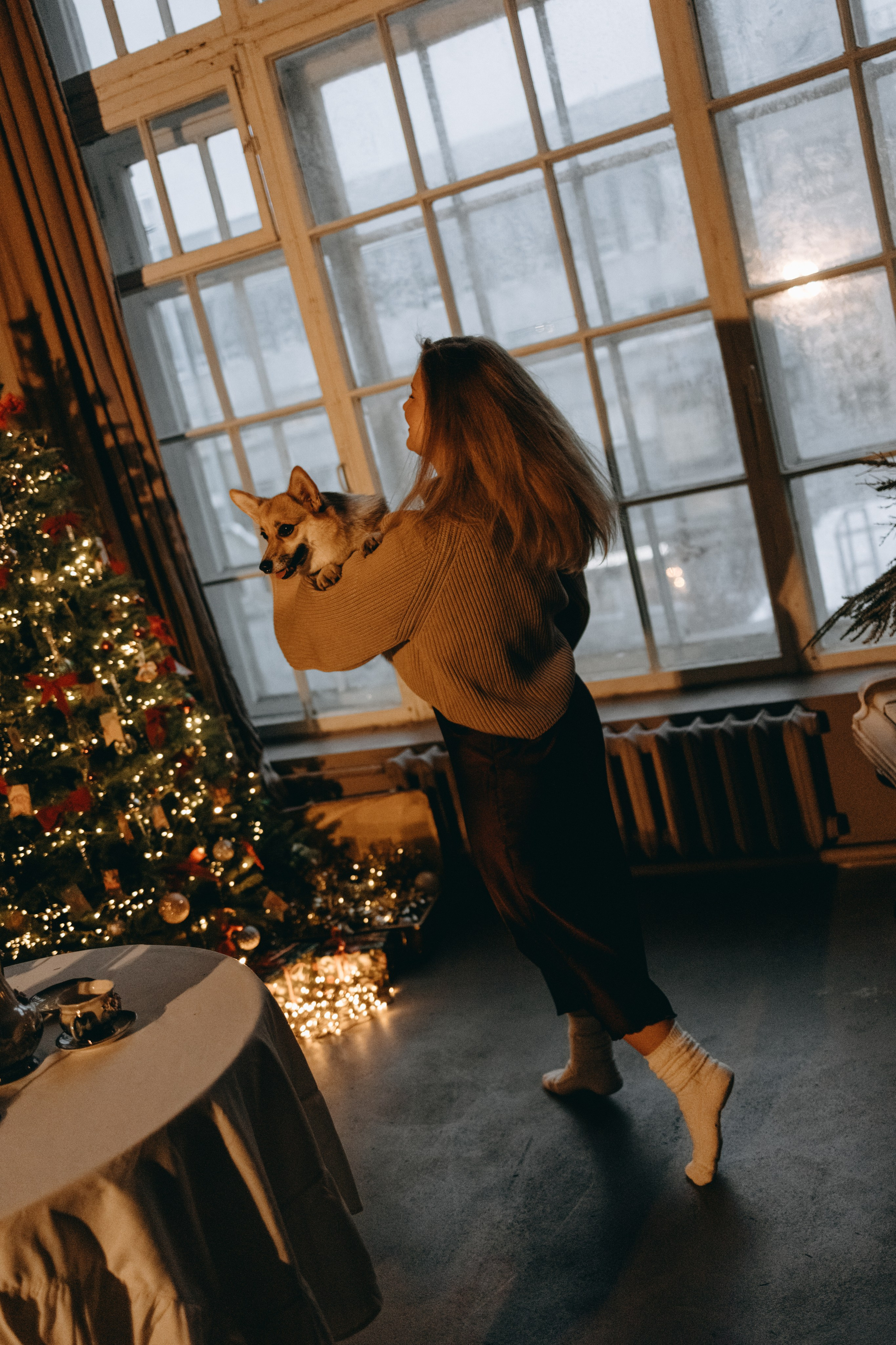 Новогодние фотостудии. Фотограф — Анималист | Санкт-Петербург