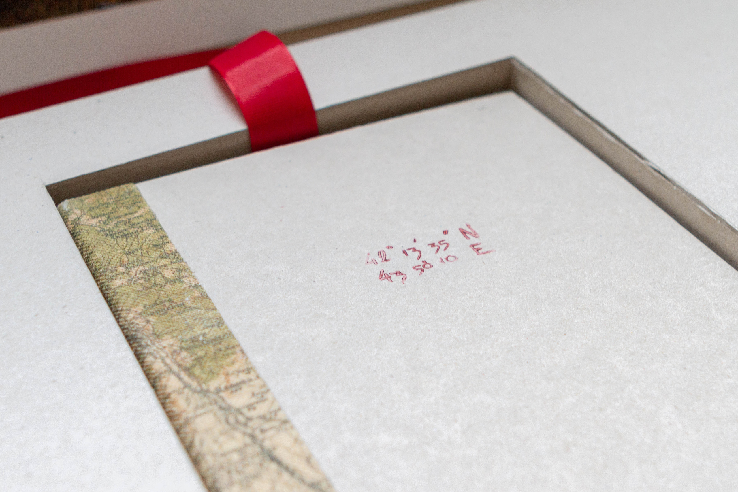 Books. Elena Kalyuzhnaya