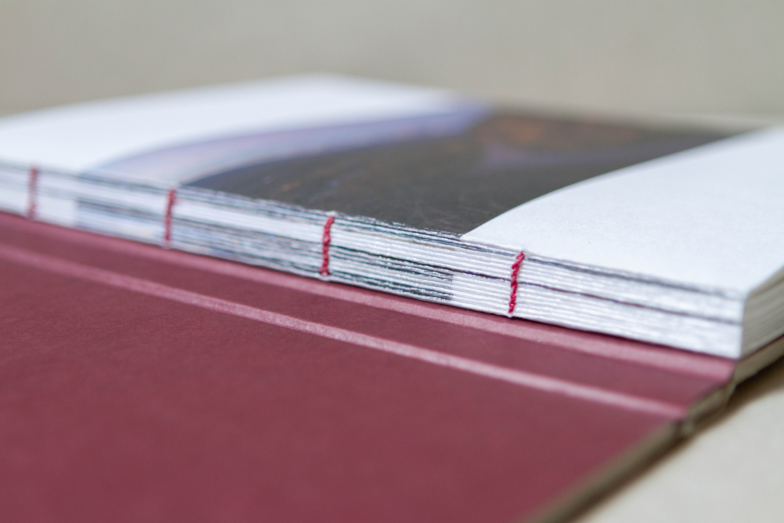 Books. Elena Kalyuzhnaya