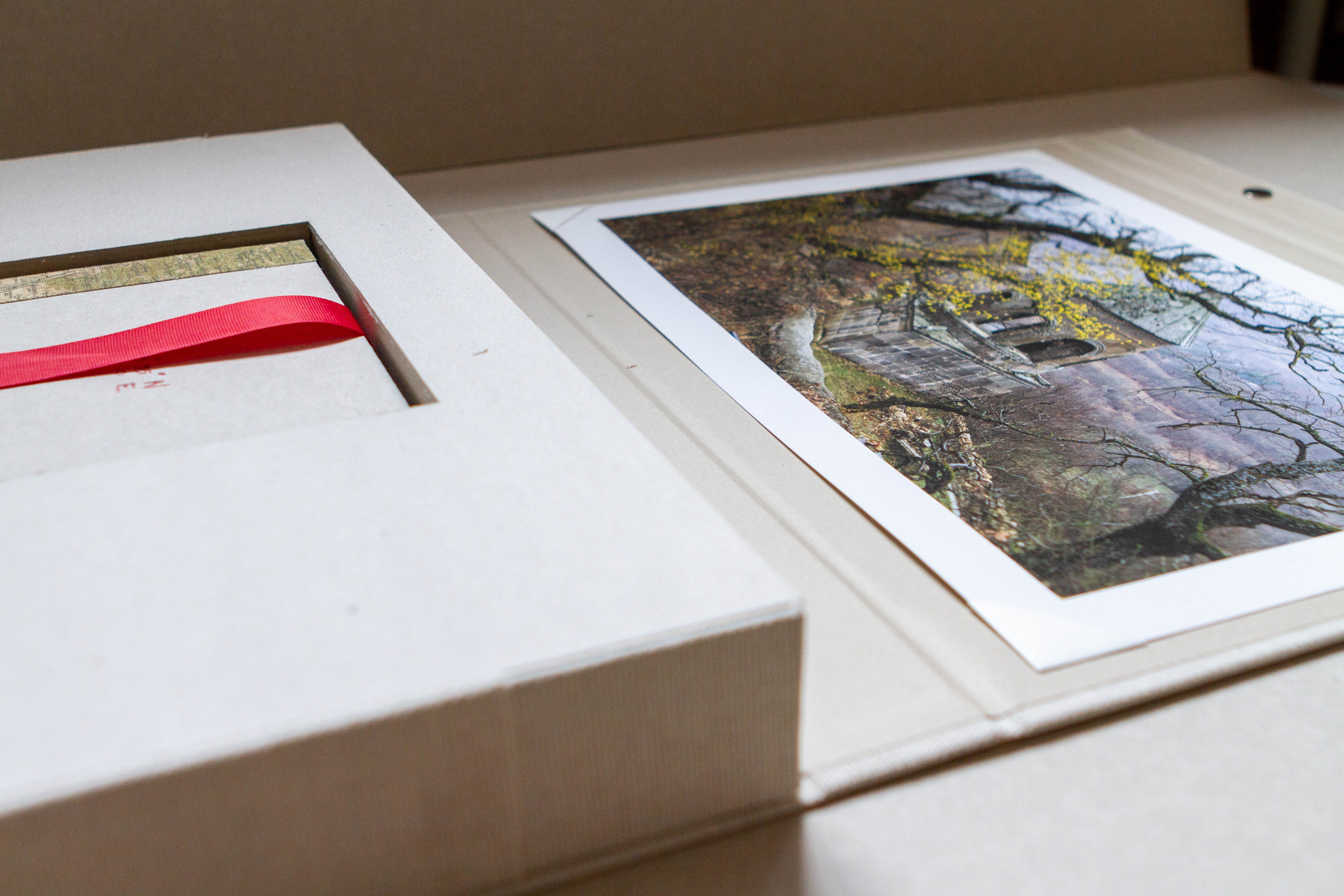 Books. Elena Kalyuzhnaya