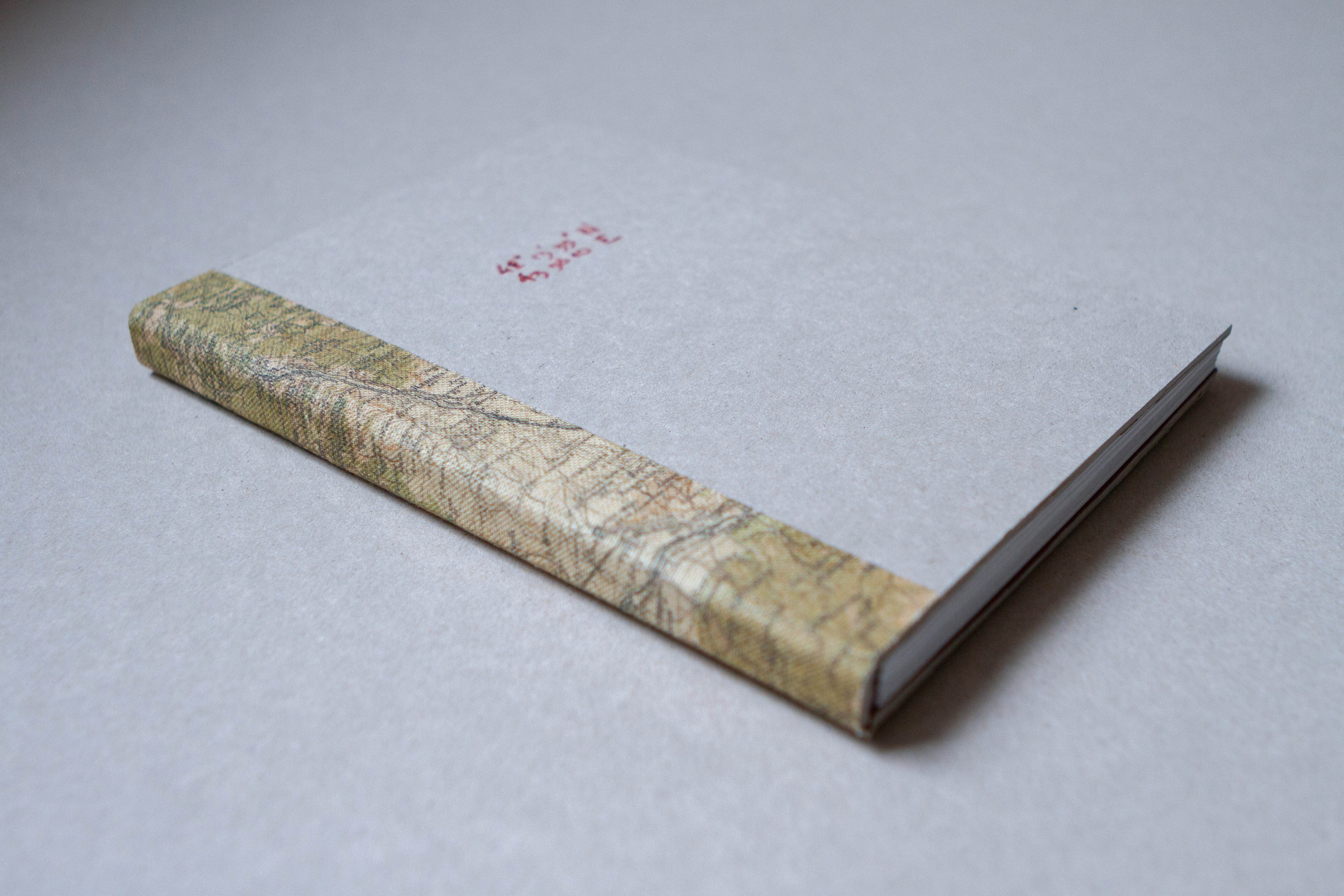 Books. Elena Kalyuzhnaya