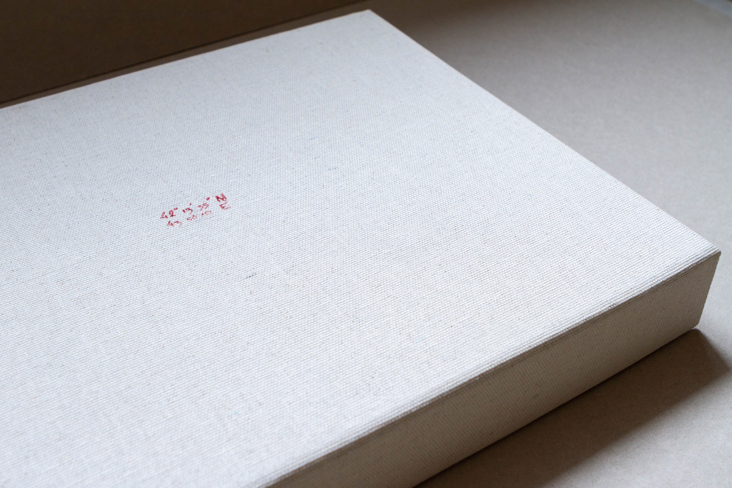 Books. Elena Kalyuzhnaya