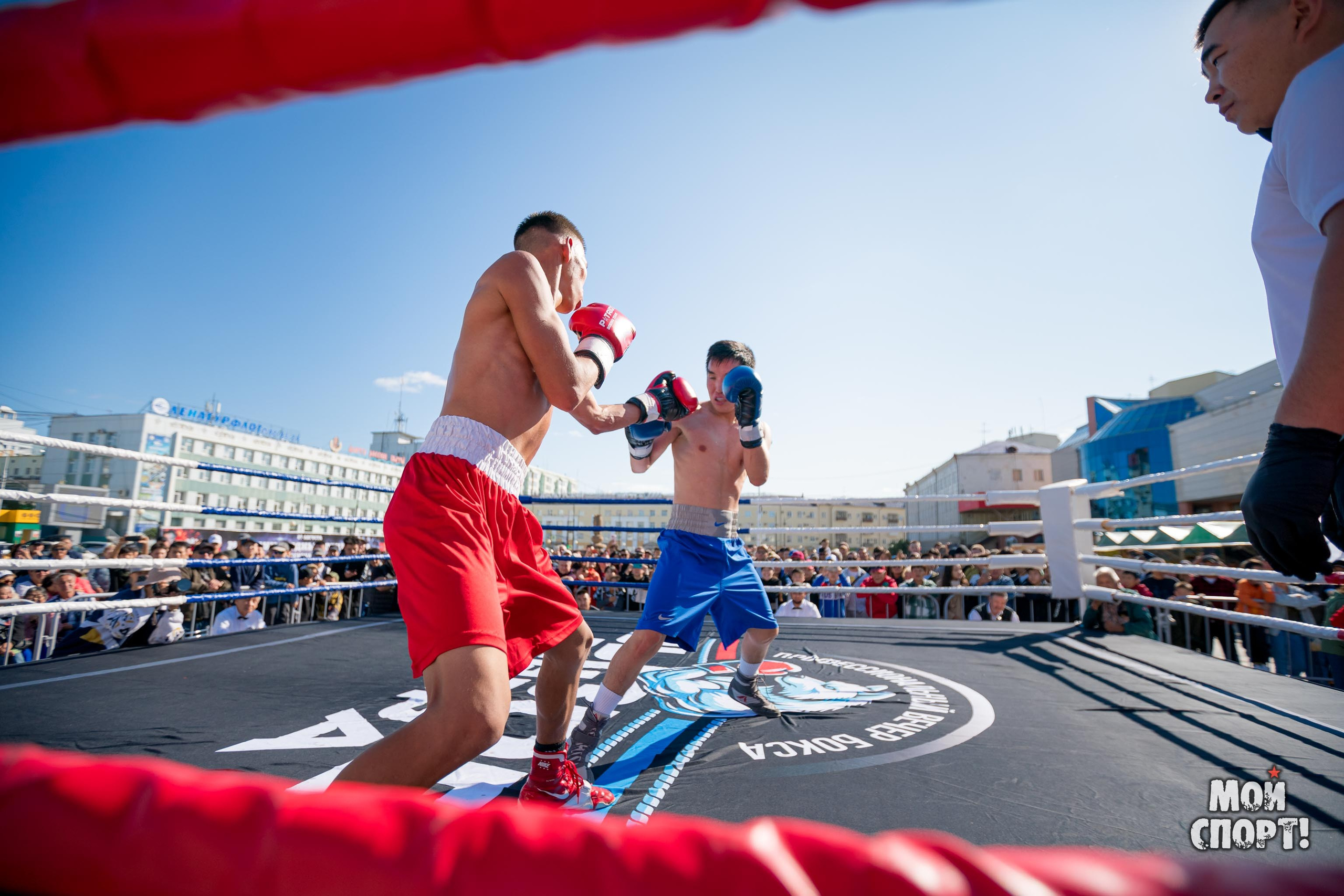 День бокса 2024. Студия «Мой Спорт!» — все о спорте в Якутии
