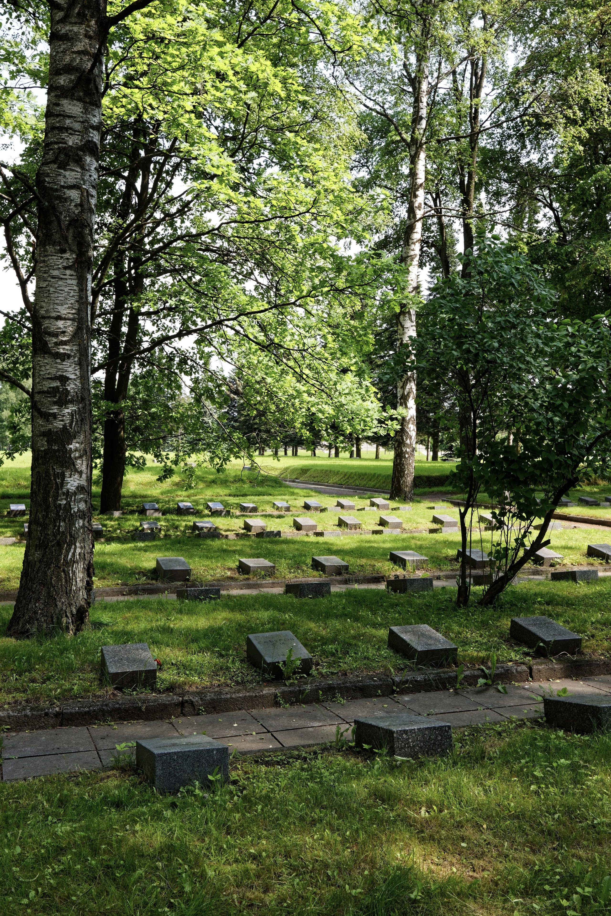 Пискаревское мемориальное кладбище. Санкт-Петербург, проспект Непокорённых, 72.