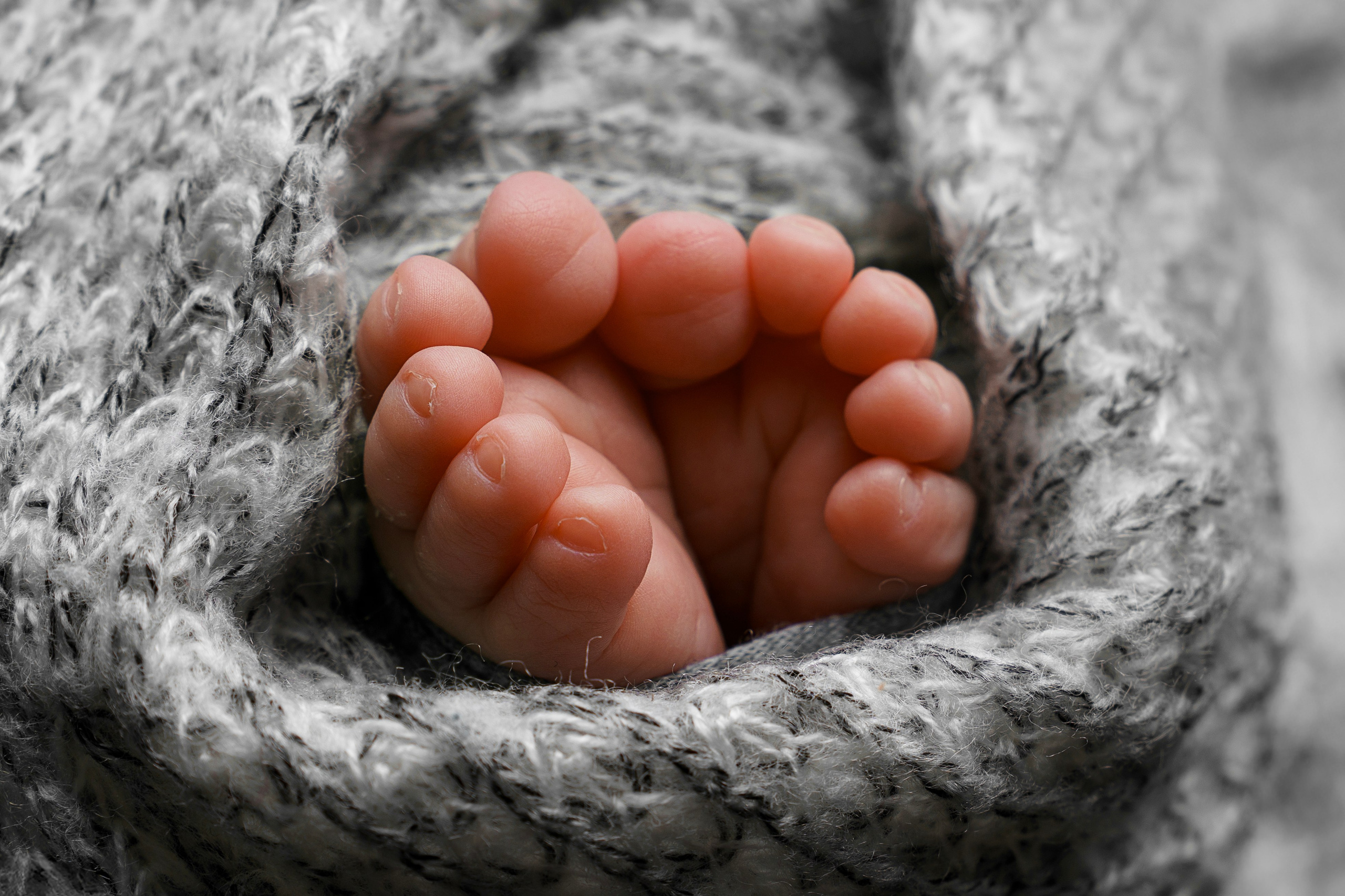 Фотосессия новорожденного (newborn). Фотограф новорожденных, детей до года и беременных в Симферополе