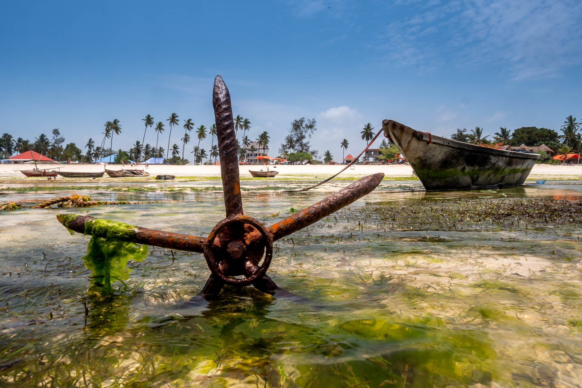 Африка, Танзания, Занзибар, Нунгви. Africa, Tanzania, Zanzibar, Nungwi. Фотограф Алексей Скоробогатько
