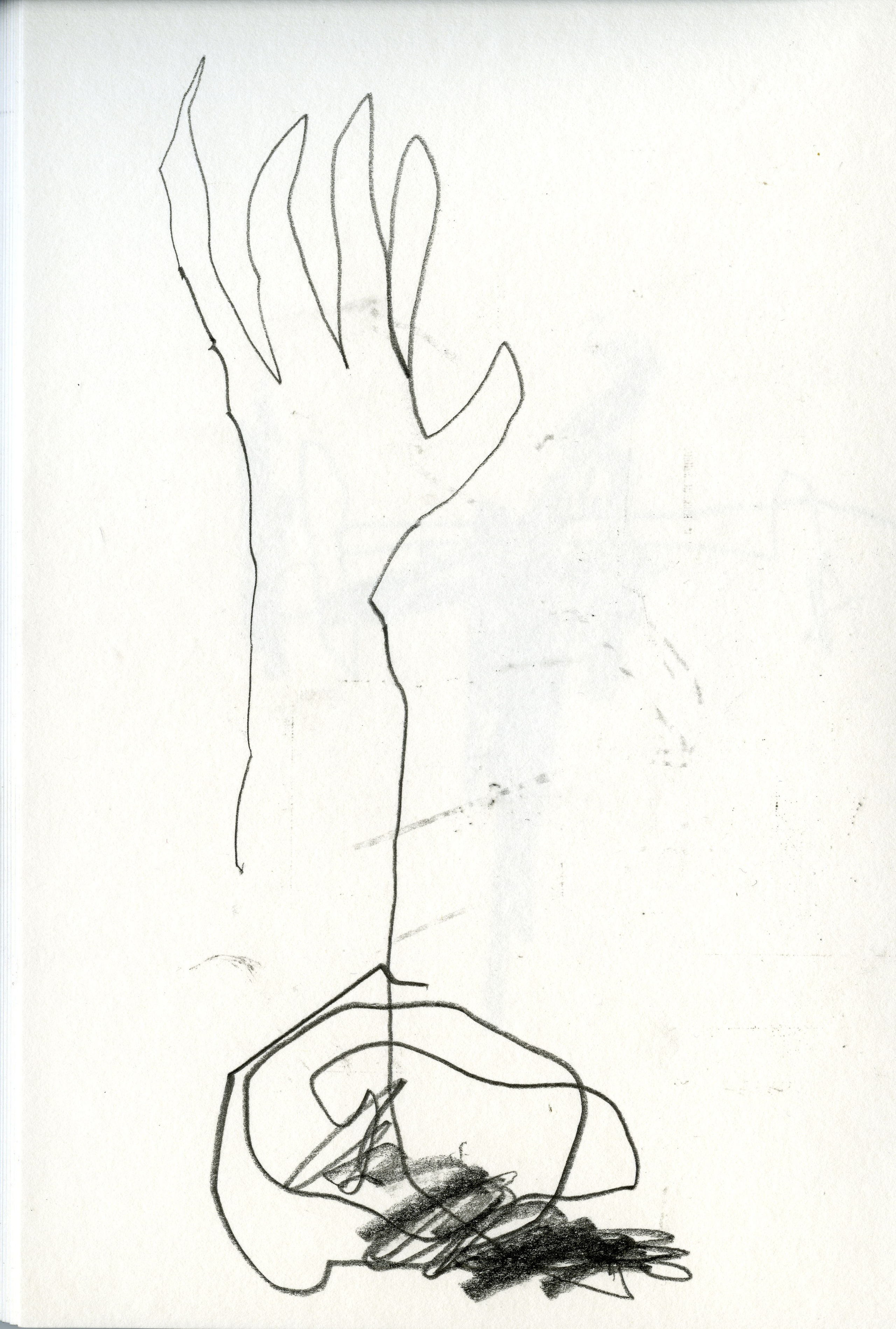 Книга Ройсин Уайт (Róisín White) «Lay Her Down Upon Her Back». Private image