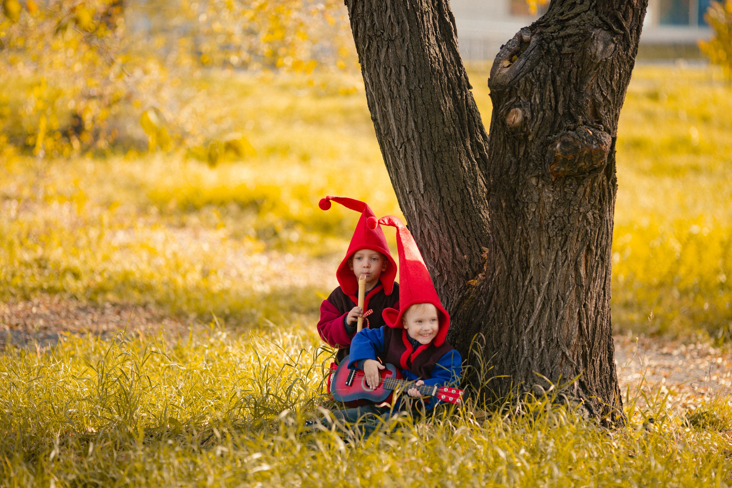 Лесные гномы