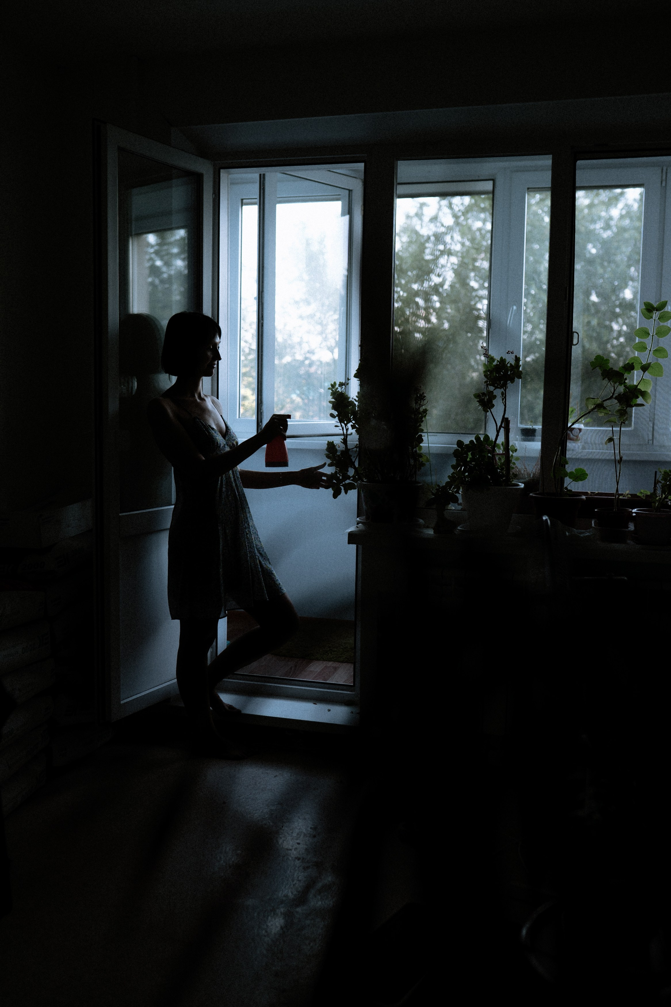 Мир, где рожден помидор. Андрейко Надежда