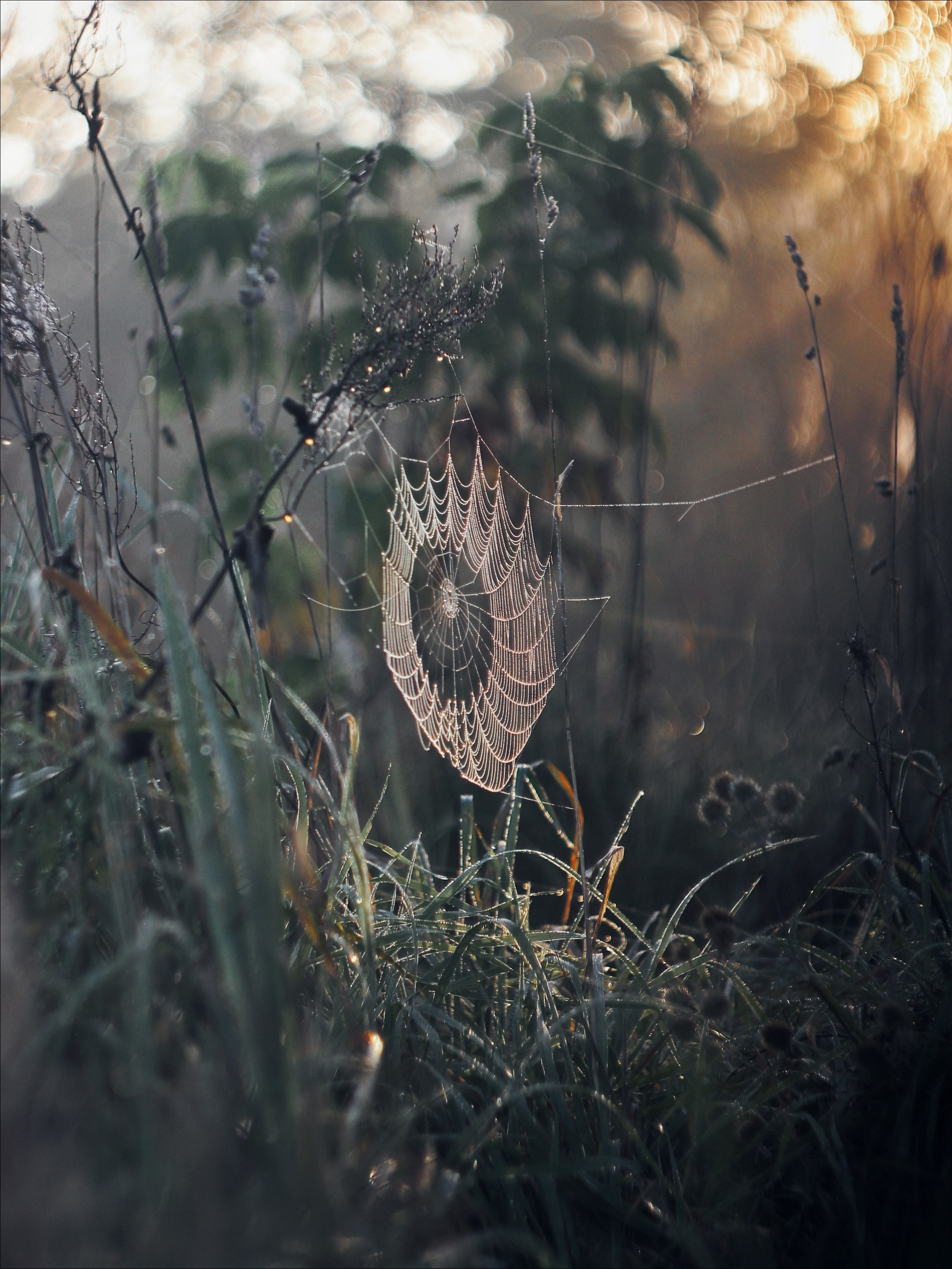 Опустошенность. С любовью, фотохудожник